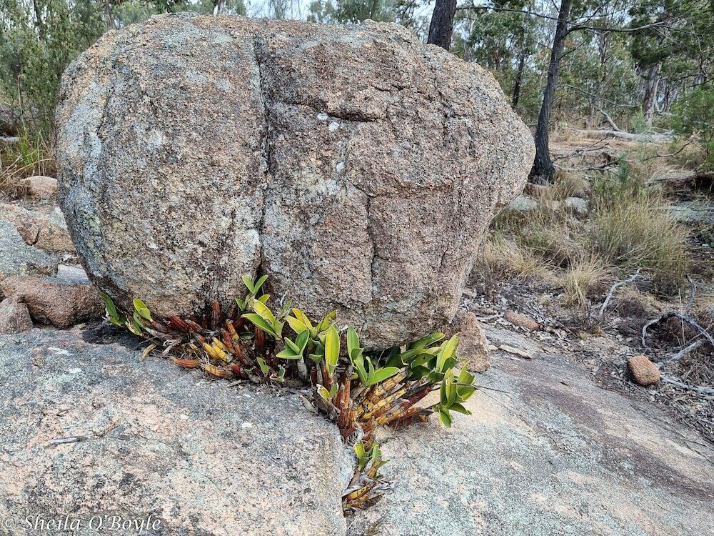 Фото Glen Lough Cabins