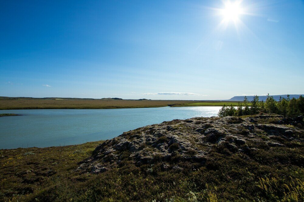 Фото Paradise Cabin