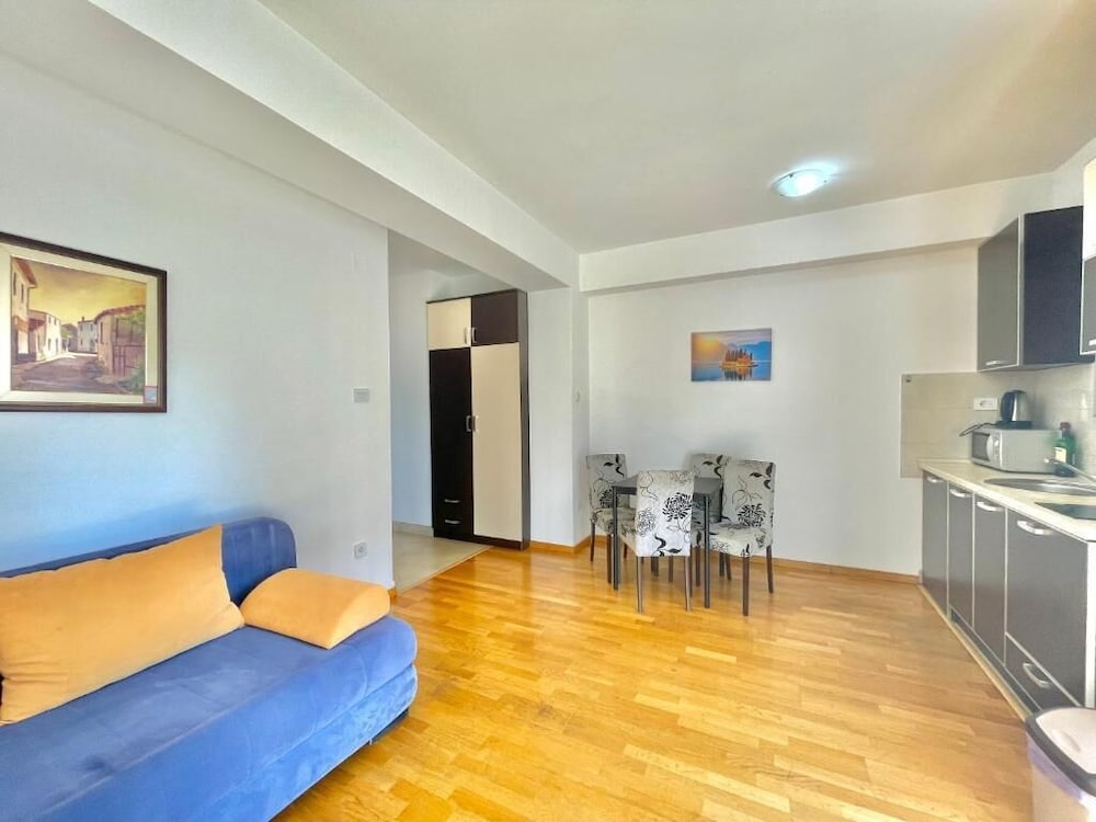 Фото Comfort Apartments Aleksic