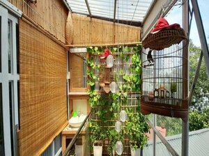 Гостиница Green Homestay Ha Noi
