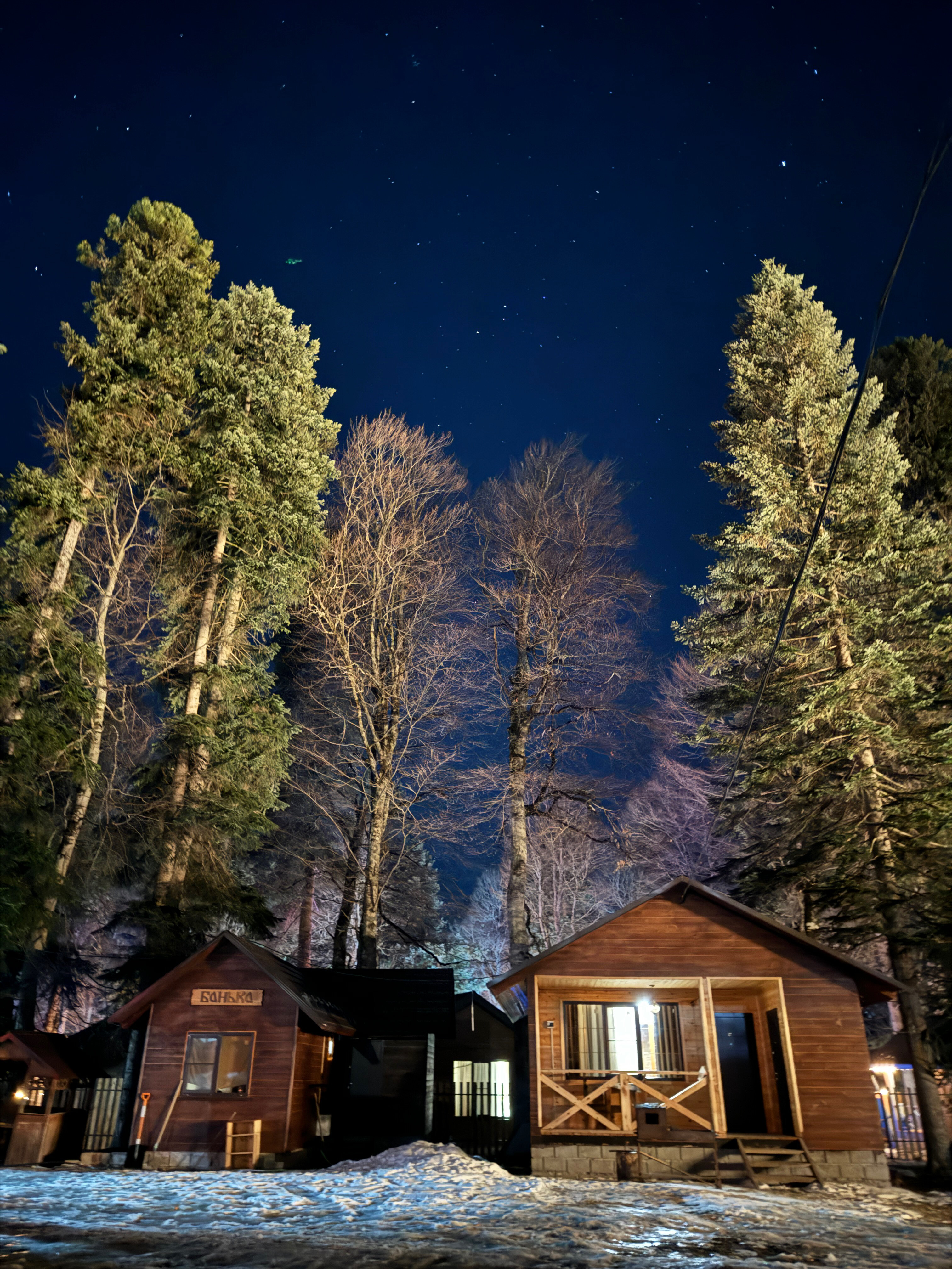 Фото Forest Yard