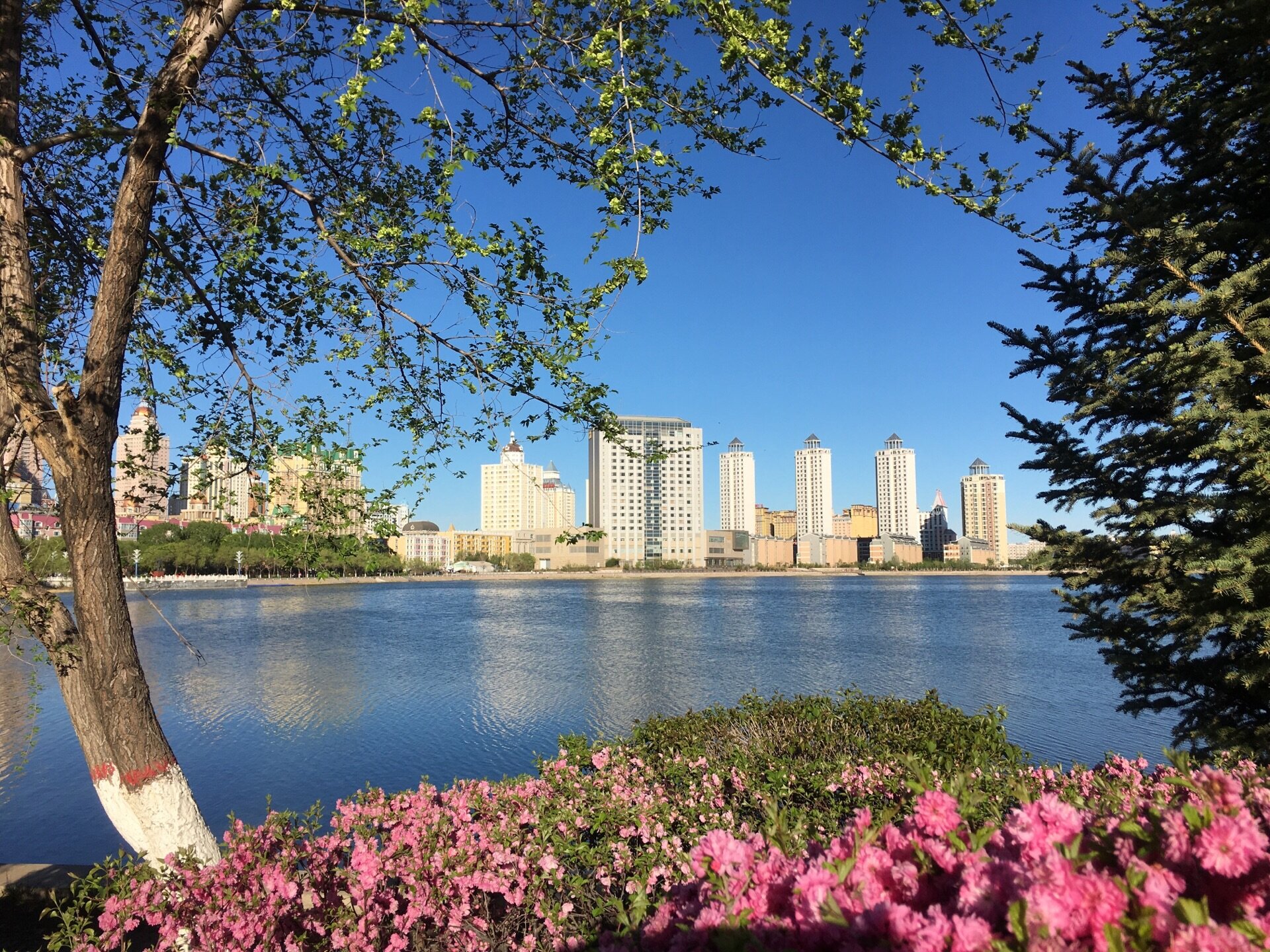 Фото Shangri-La Manzhouli