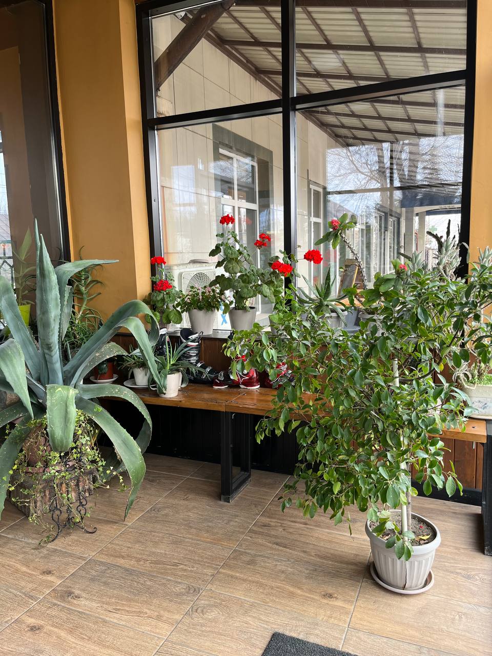 Фото Маданур