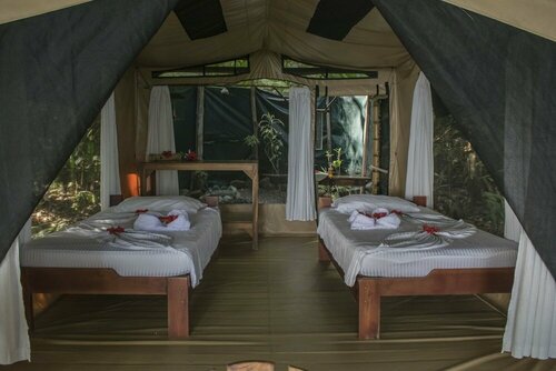Гостиница La Leona Eco Lodge