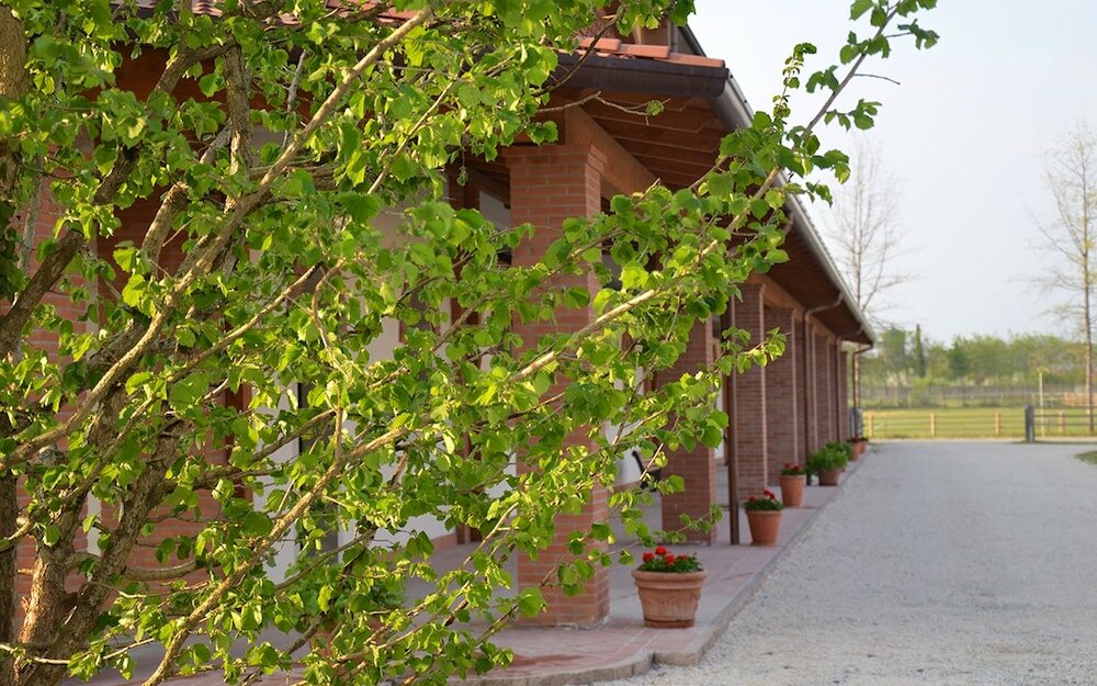 Фото Agriturismo Il Boschetto