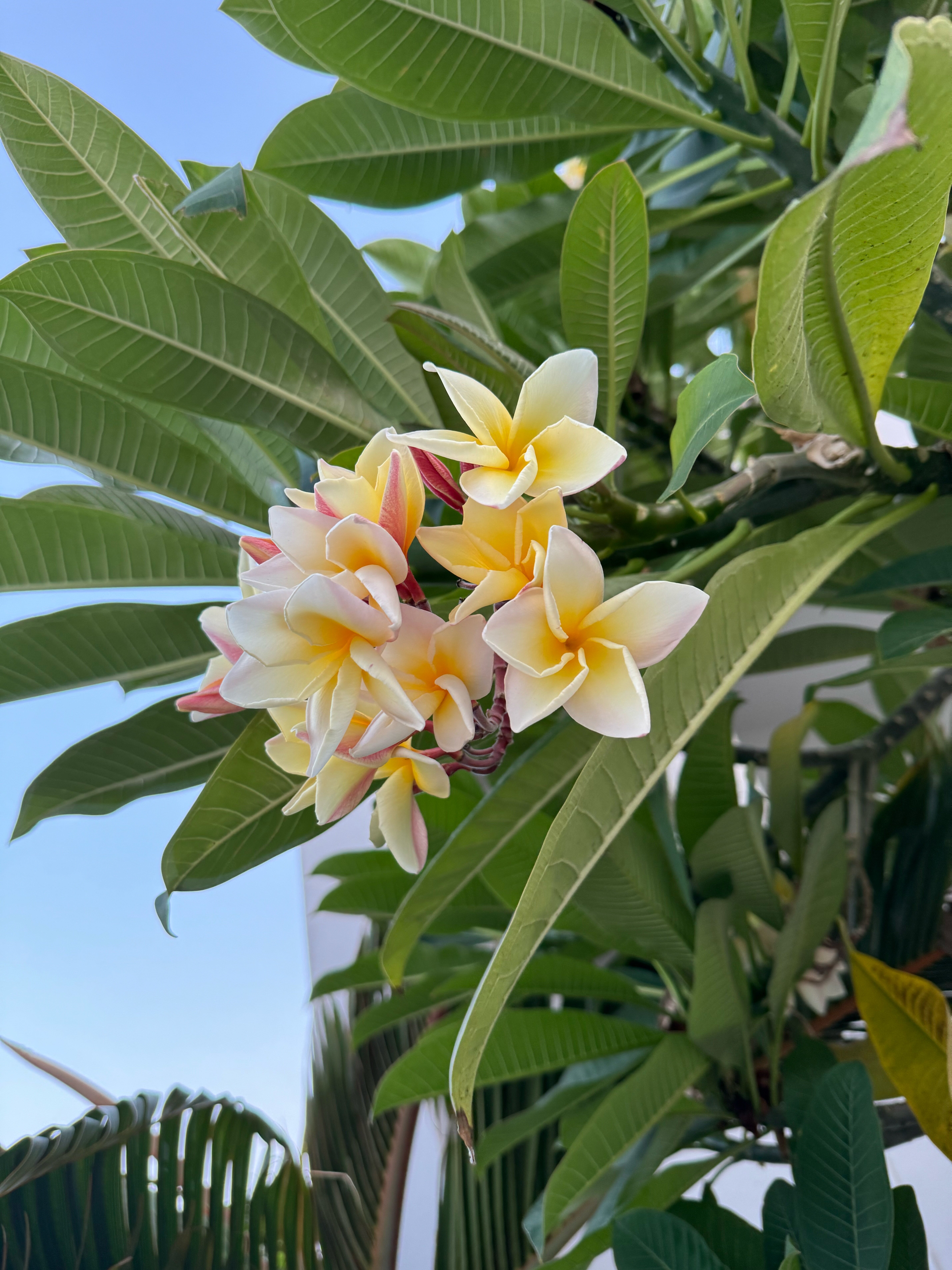 Фото Bayphere Hotel Pattaya