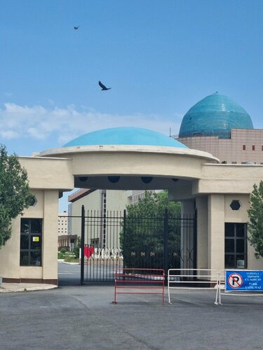 Порно шын мәнінде ауырсынудан жылайды