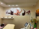 Pinky Laser (Olkhovaya Street, 1), hair removal