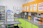 ЛеснойВет (dachny posyolok Lesnoy Gorodok, Molodezhnaya Street, 8), veterinary clinic