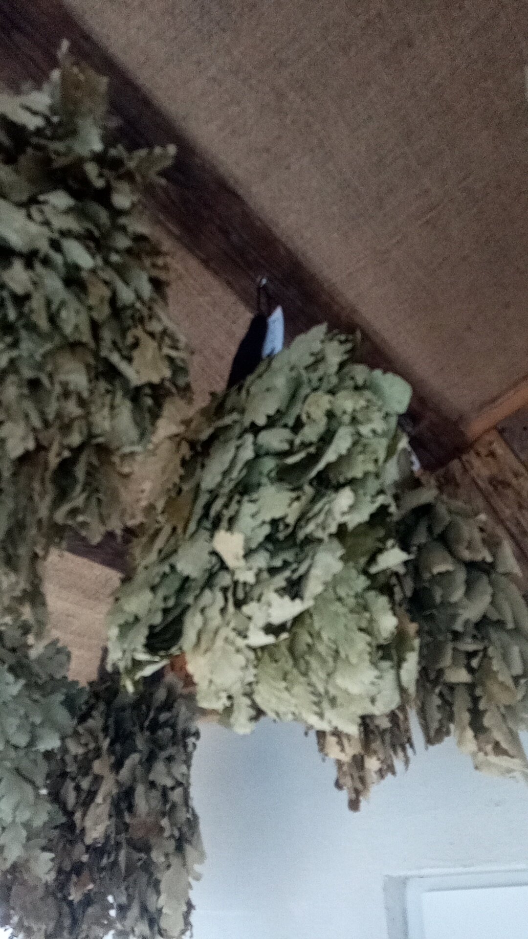 Фото Вилла Агата