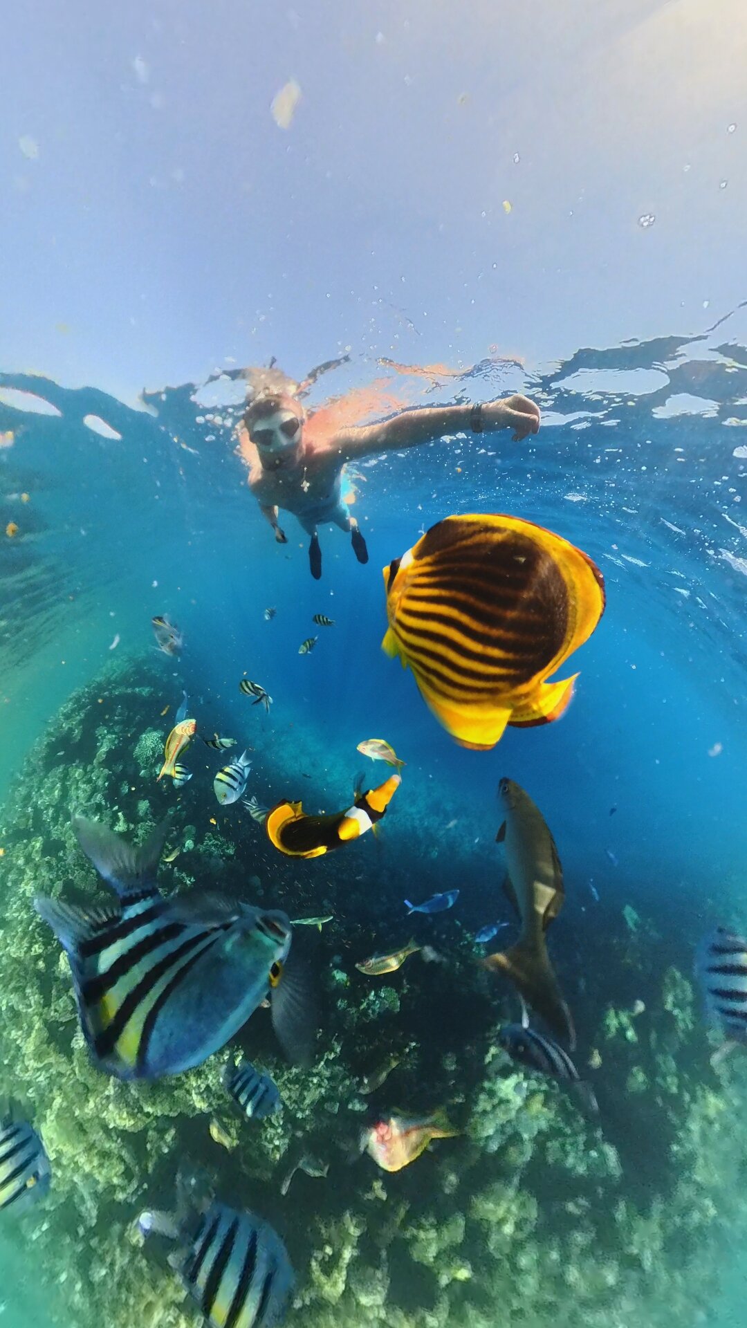 Фото Parrotel Lagoon Waterpark Resort