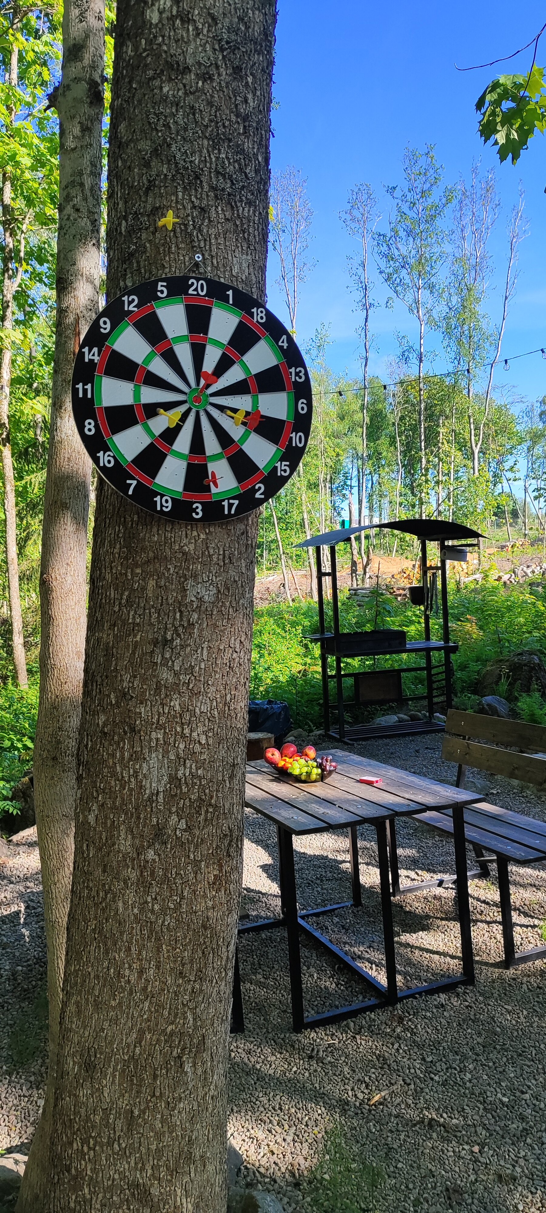 Фото Лес и Гора