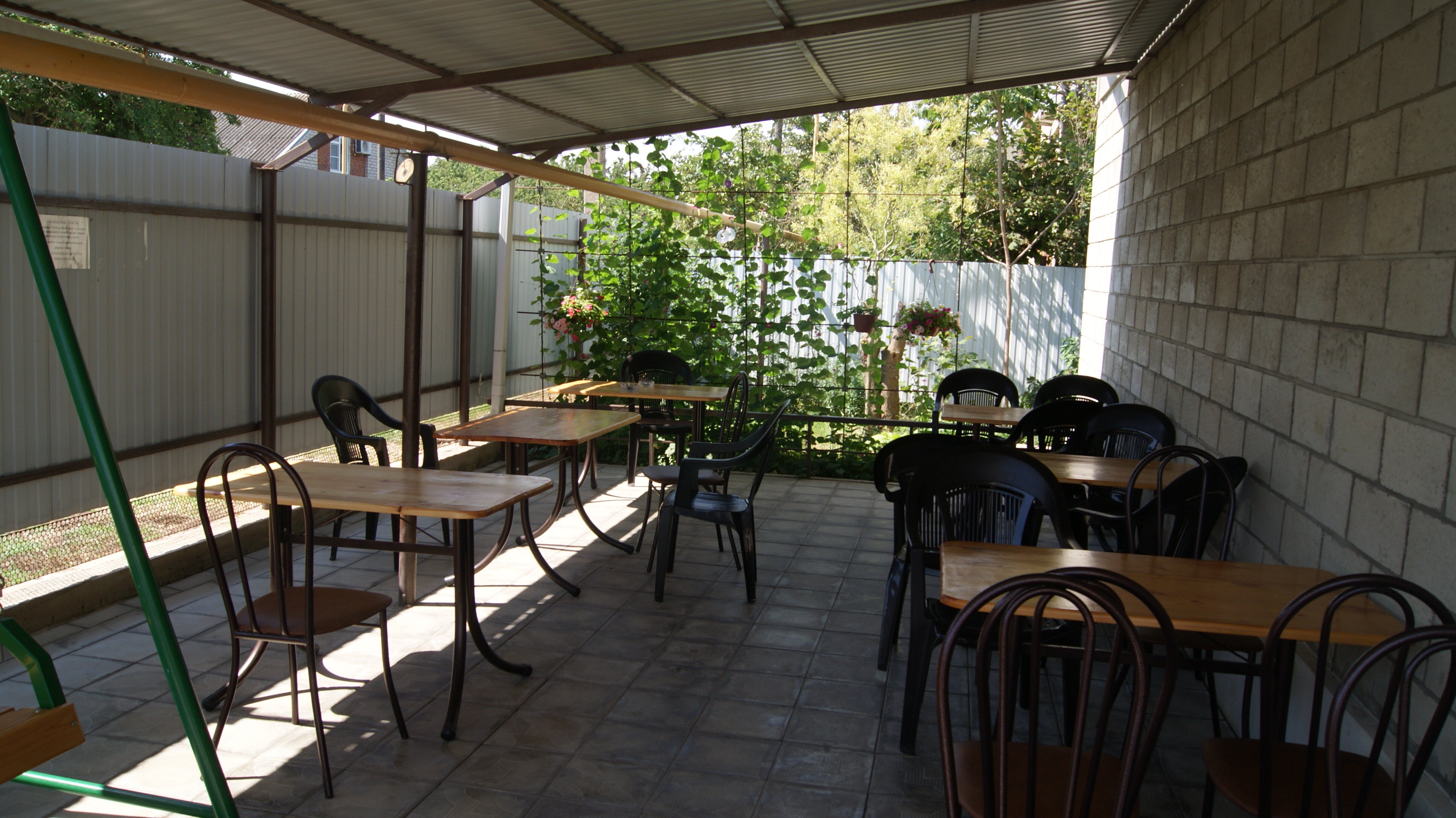 Фото Зеленая 25