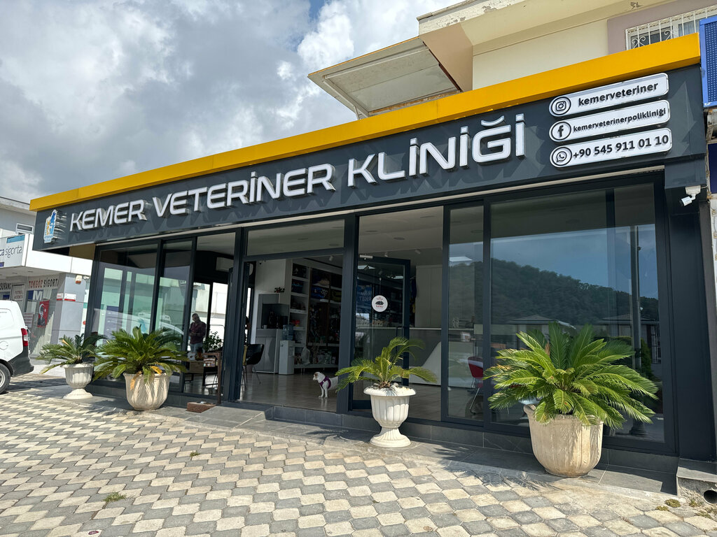 Veterinary clinic Kemer Veteriner Klinigi, Kemer, photo