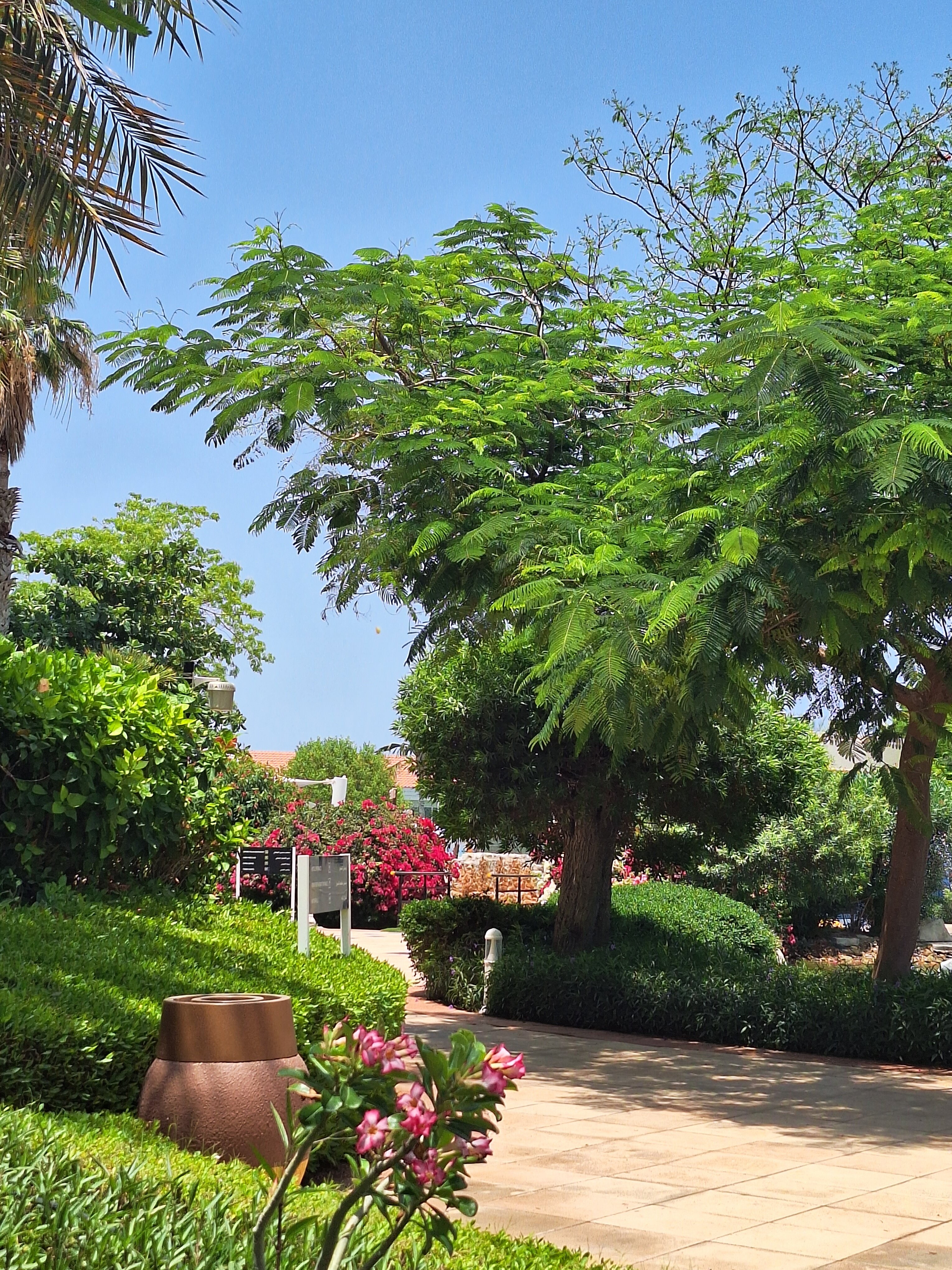 Фото Royal M Hotel By Gewan Abu Dhabi