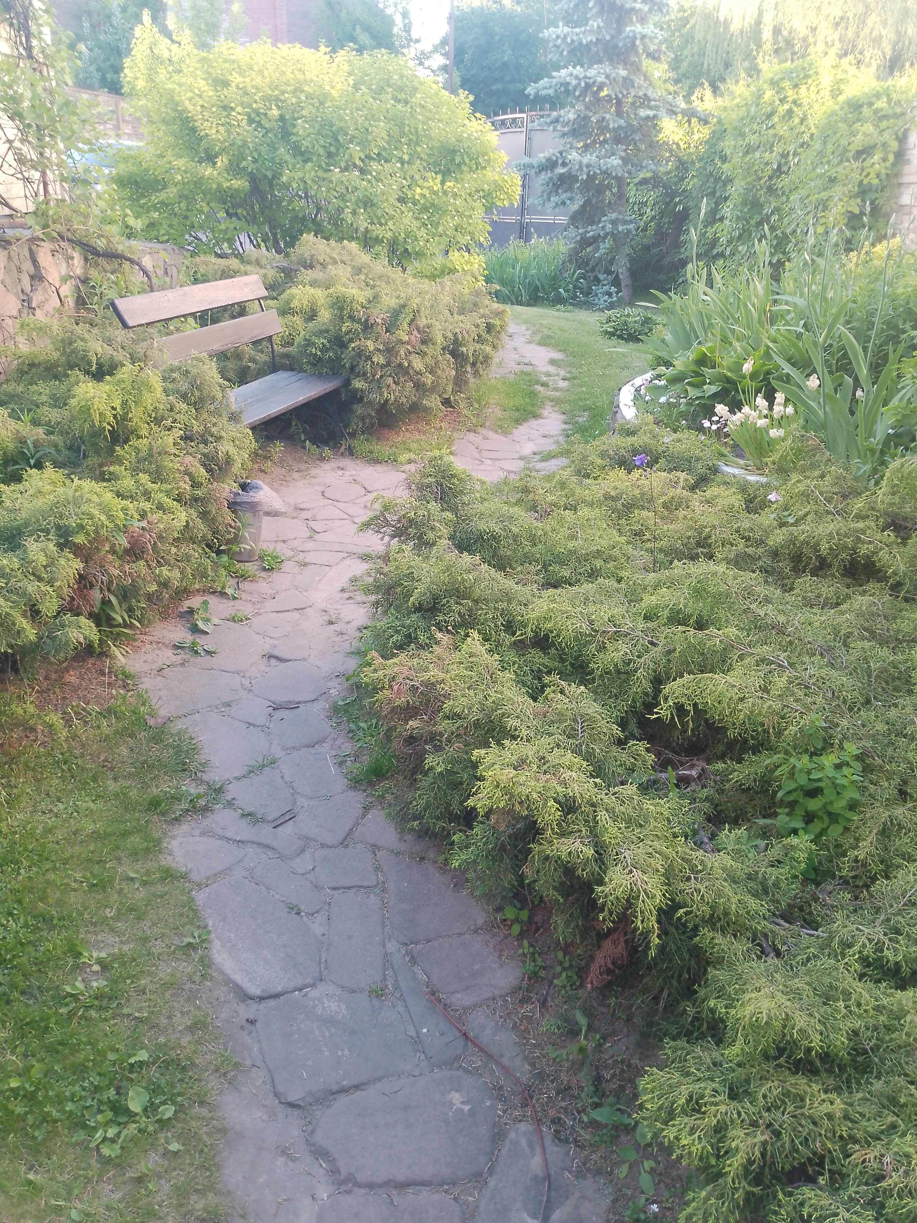 Фото Подворье