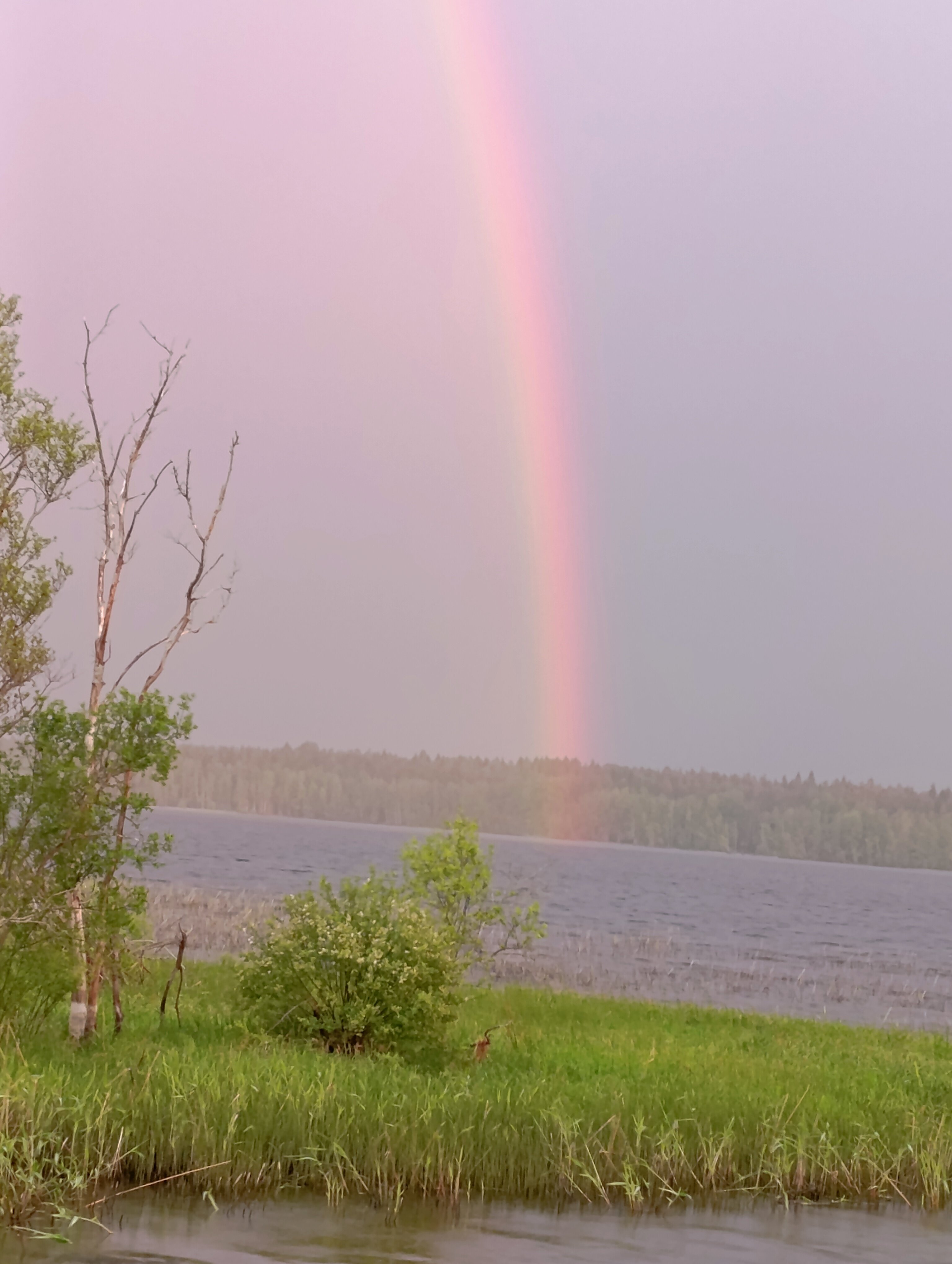 Фото Фазенда
