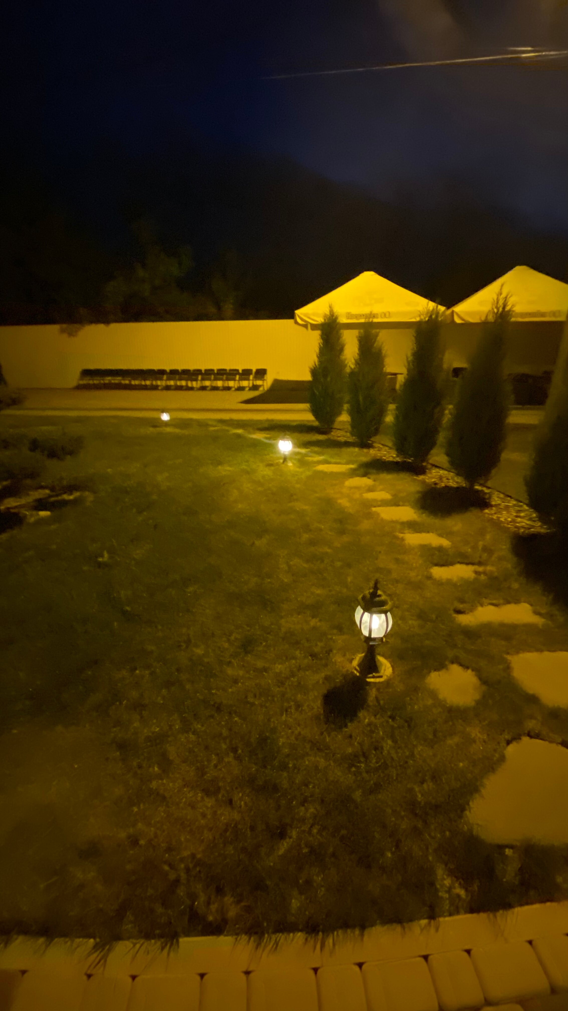 Фото Саванна