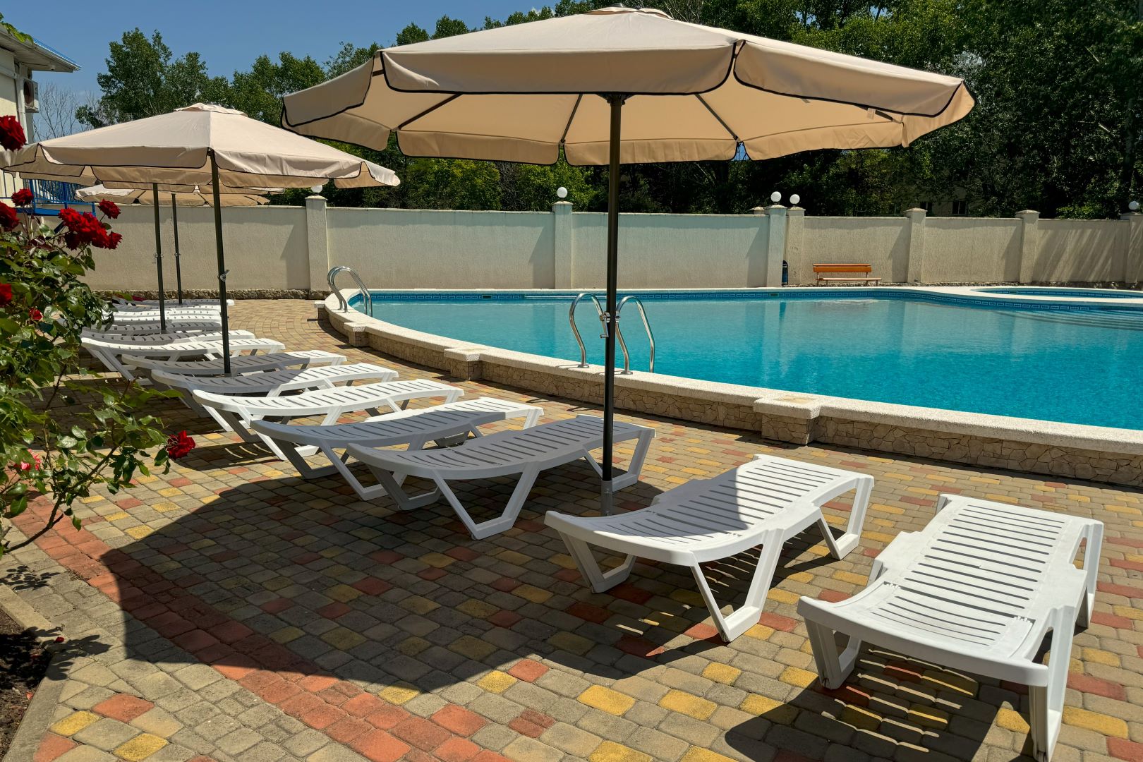 Фото Серенити