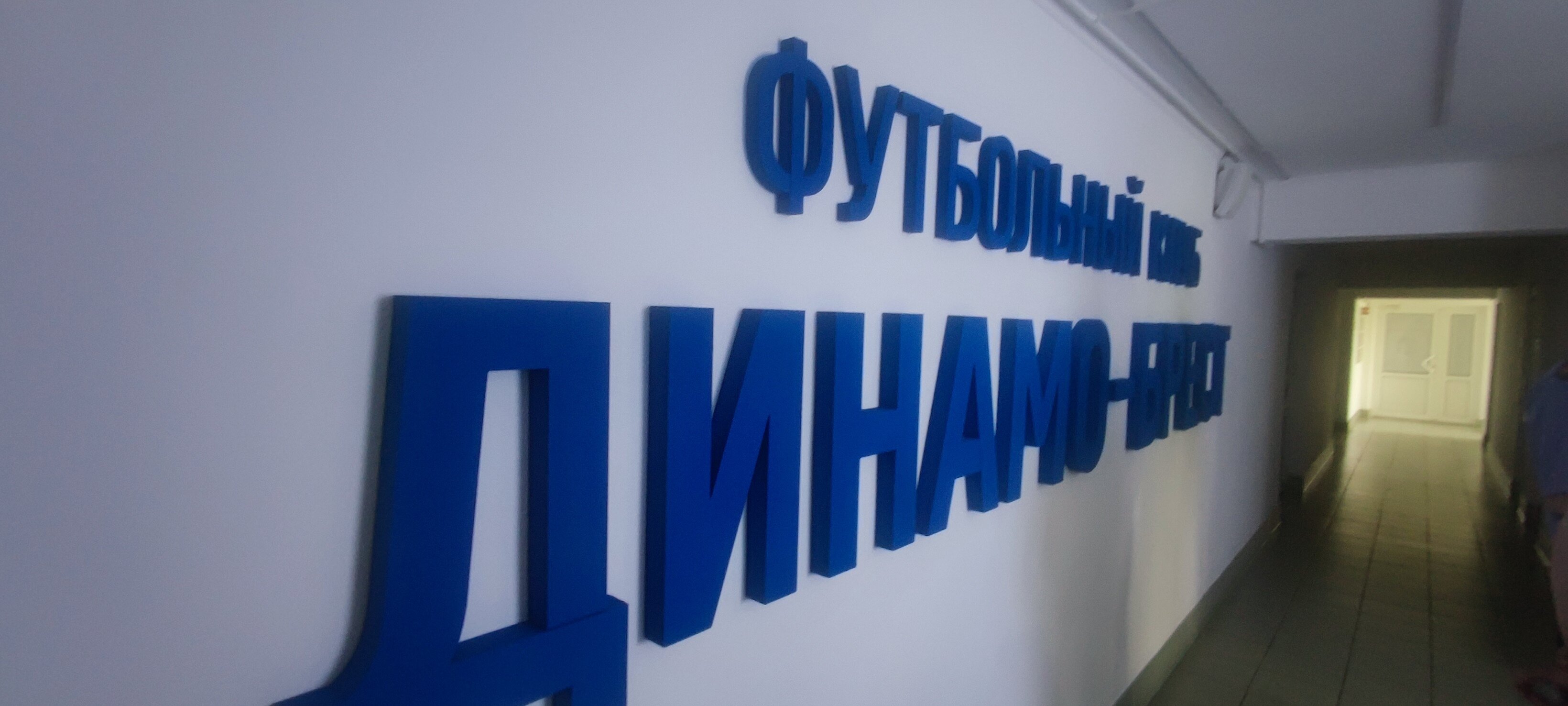 Фото Пять колец