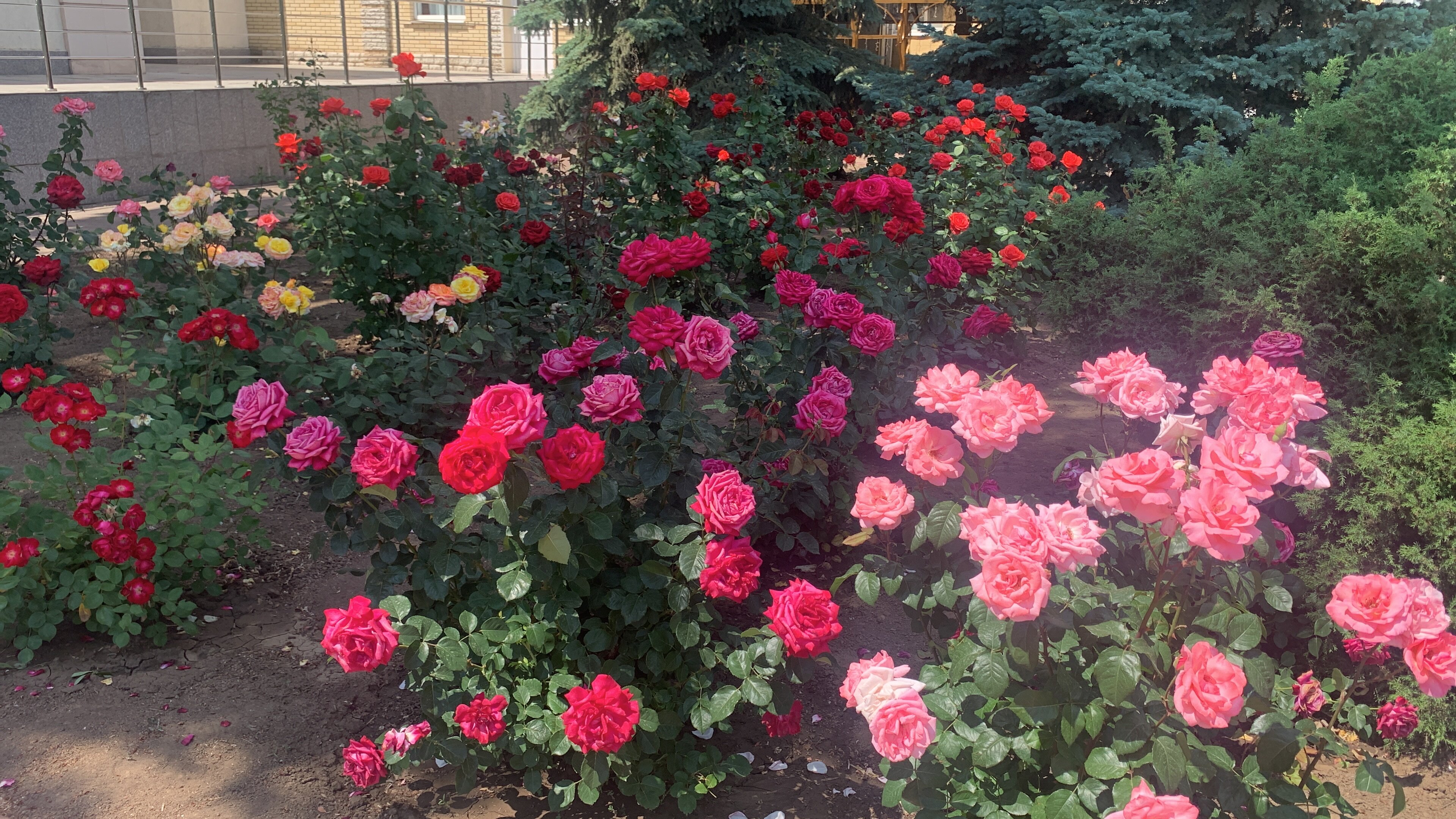 Фото Арт Сити