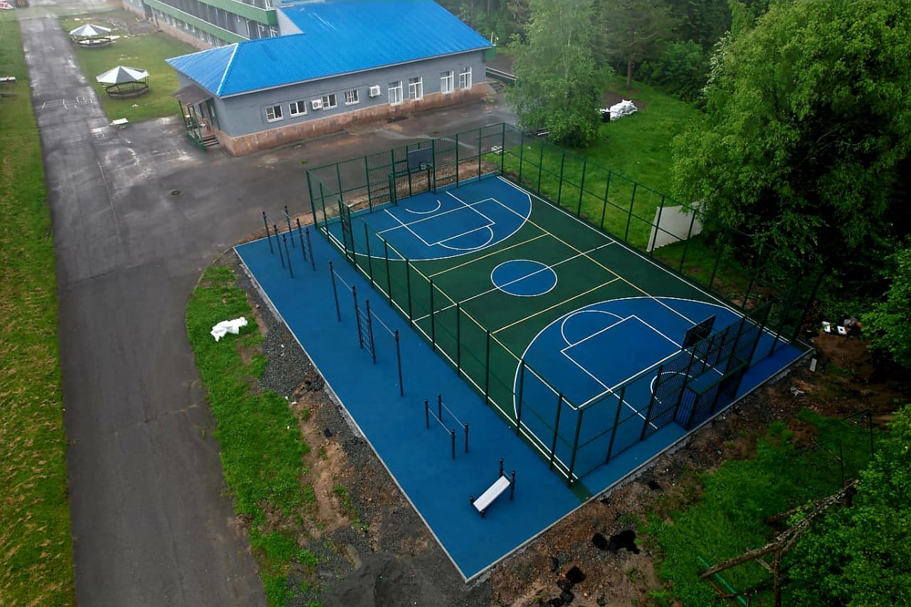 Фото Ромашка