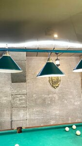 Золотое крыло