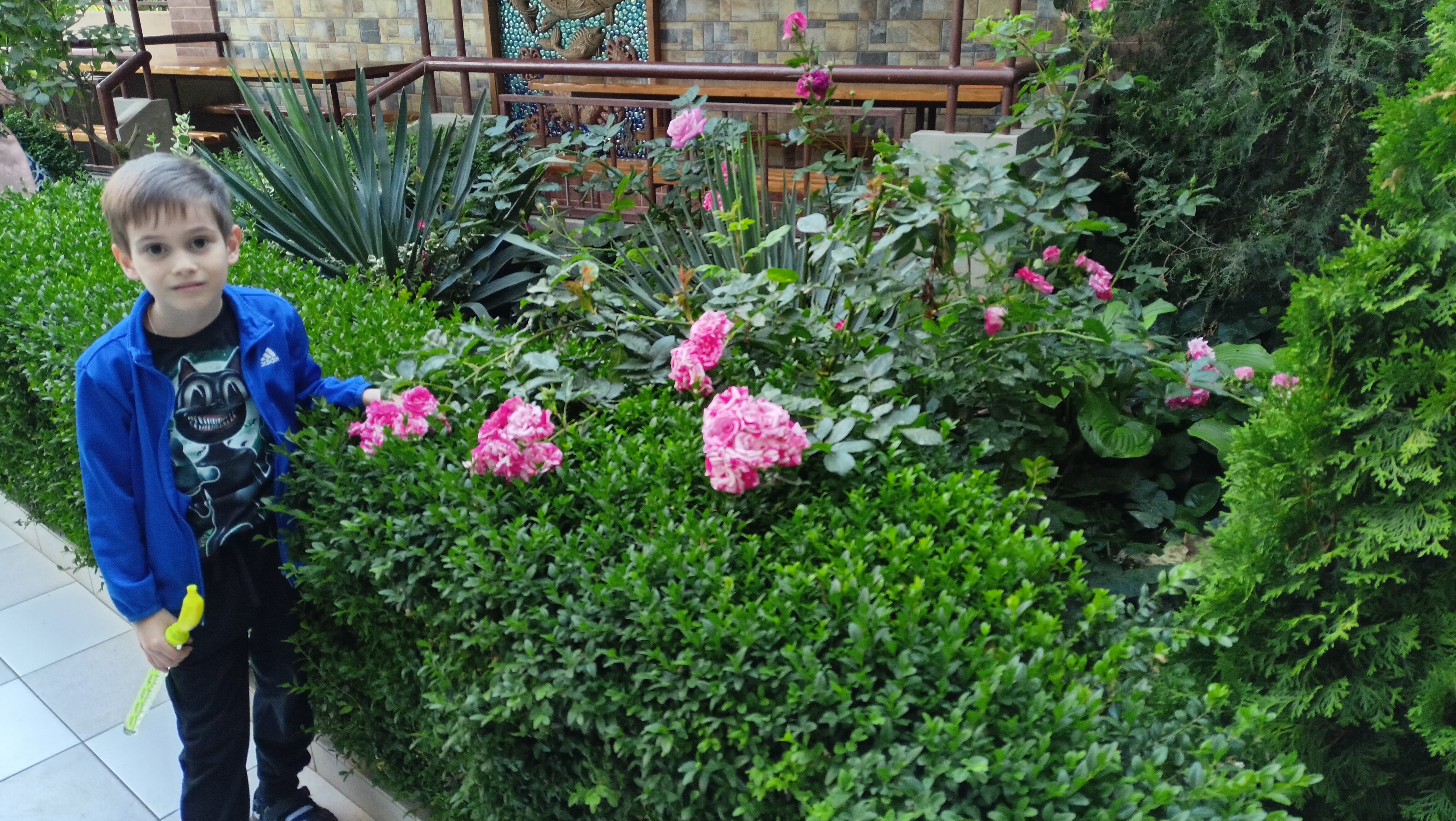 Фото Вилла Жасмин