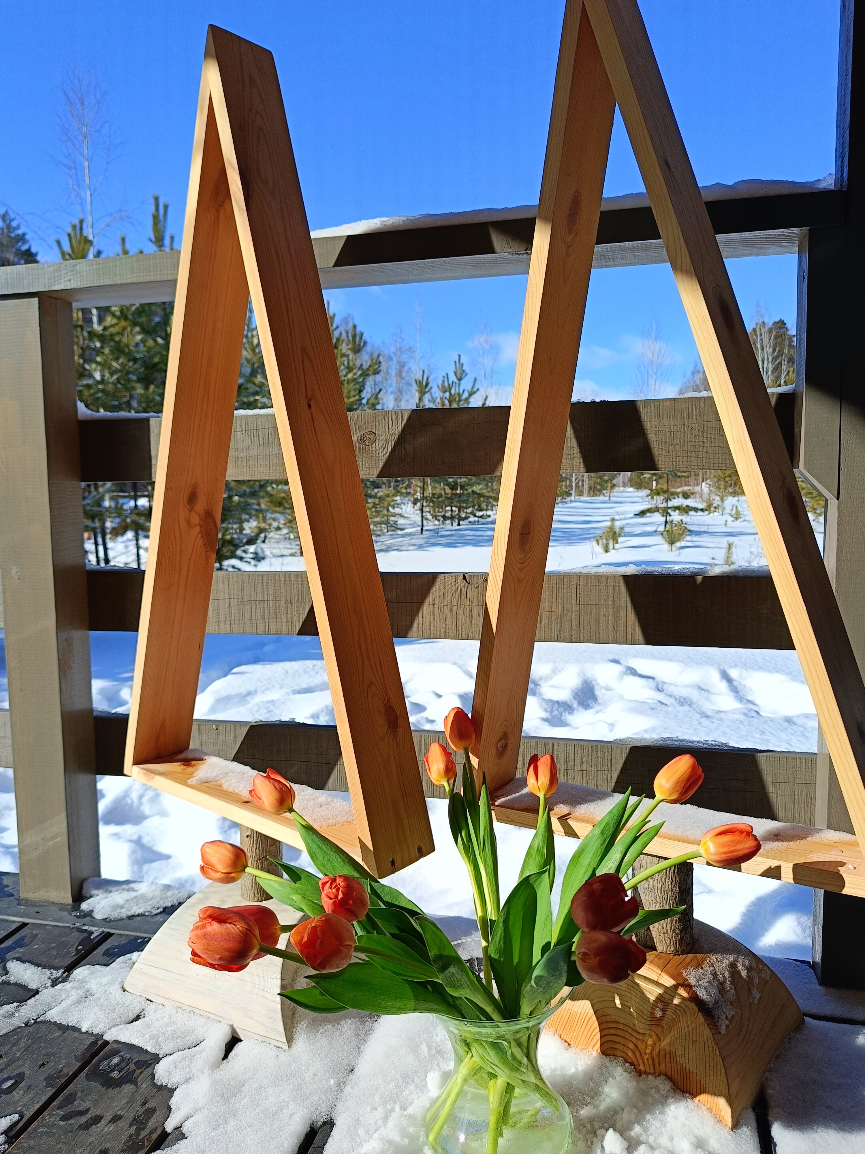 Фото БелкиПарк