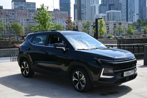 Үйдегі мысық суреті