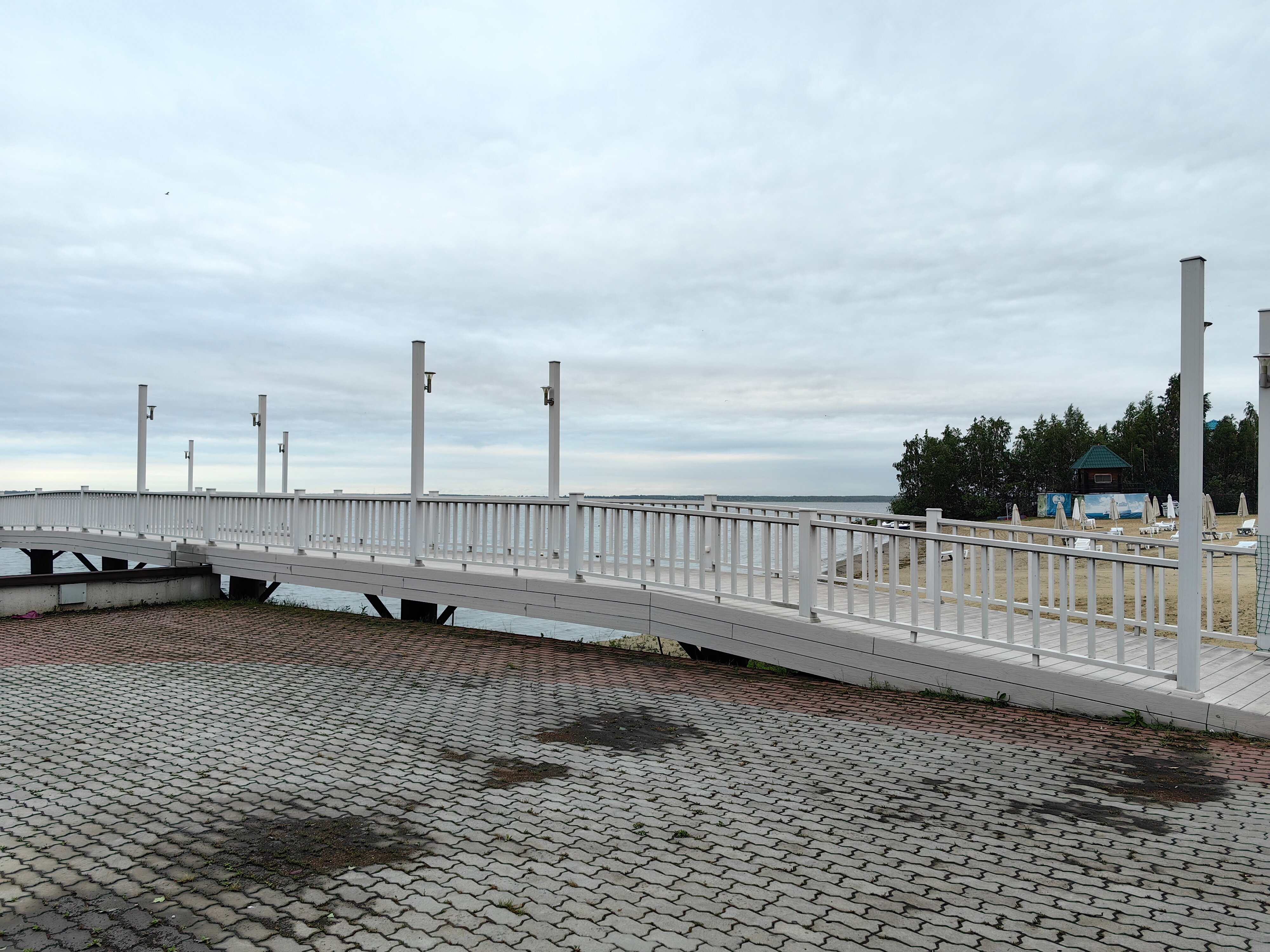 Фото Берёзка