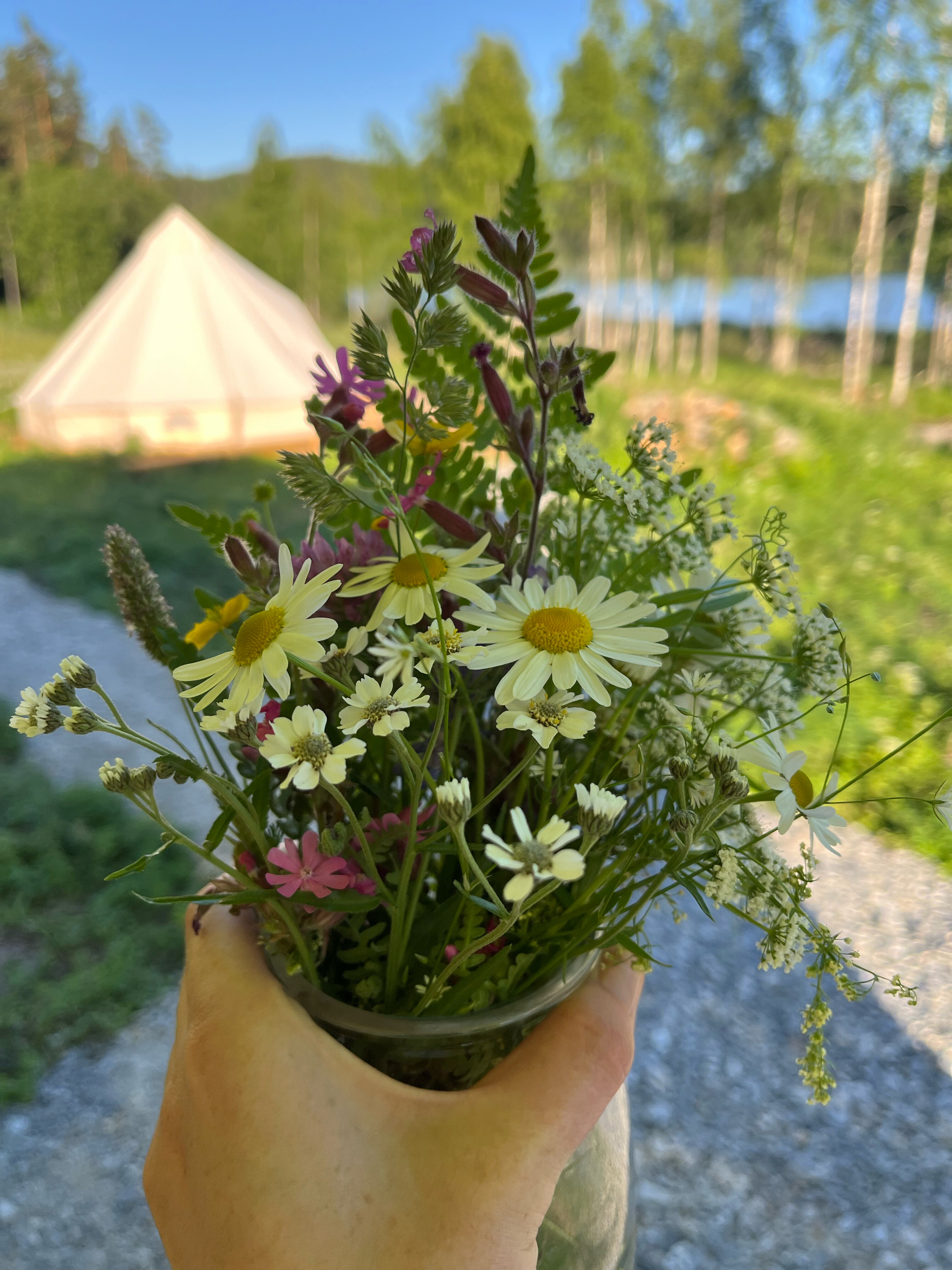 Фото Хутор ЛихKoff