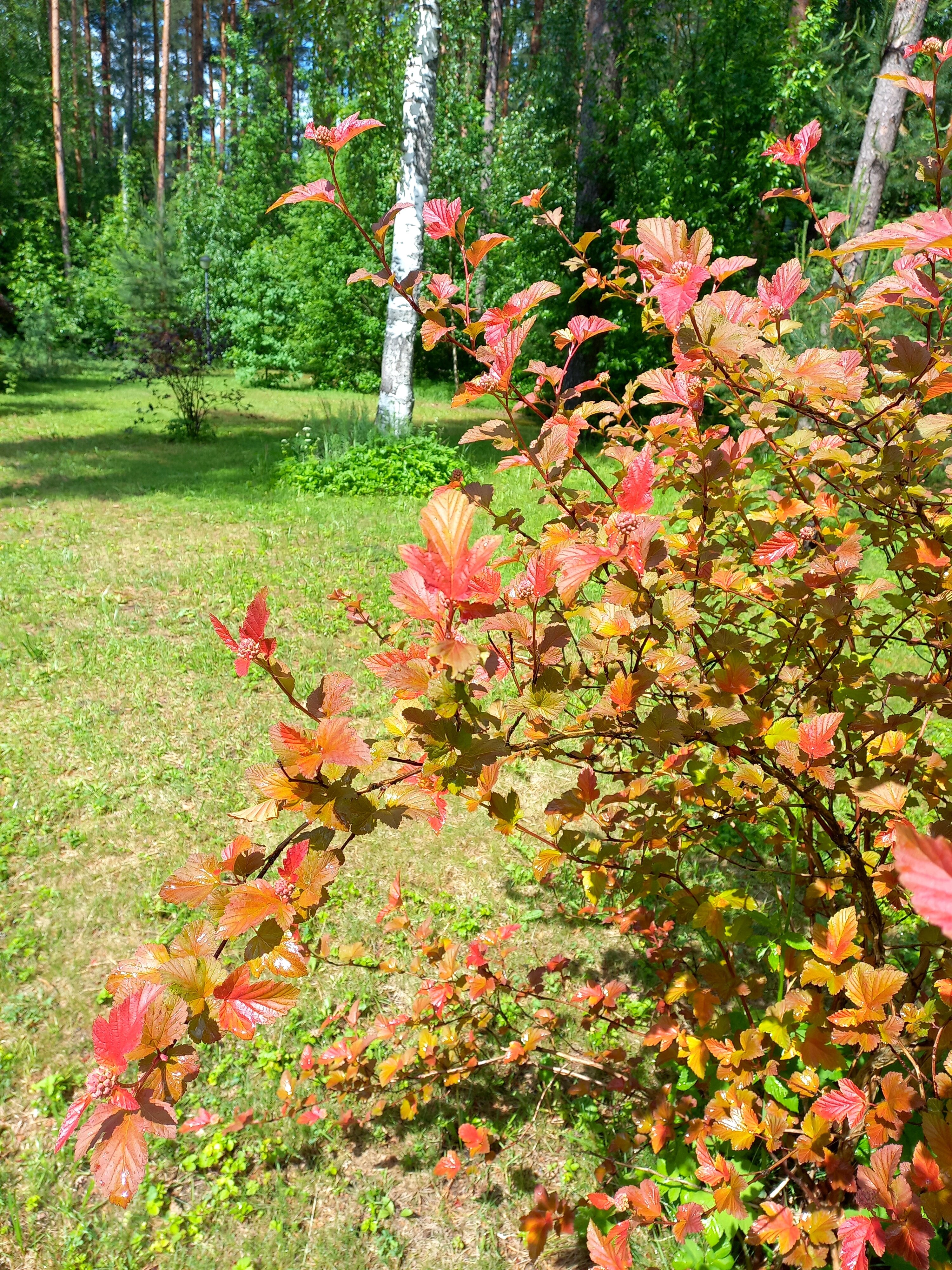 Фото Дом творчества Архитектор