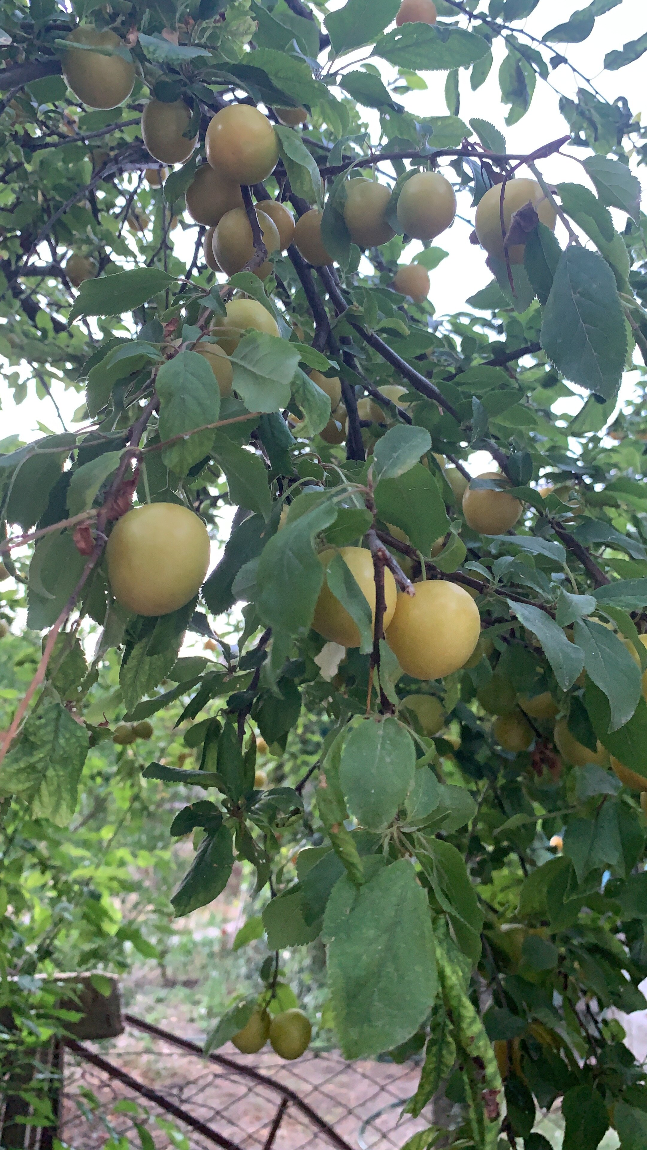 Фото Под крепостью