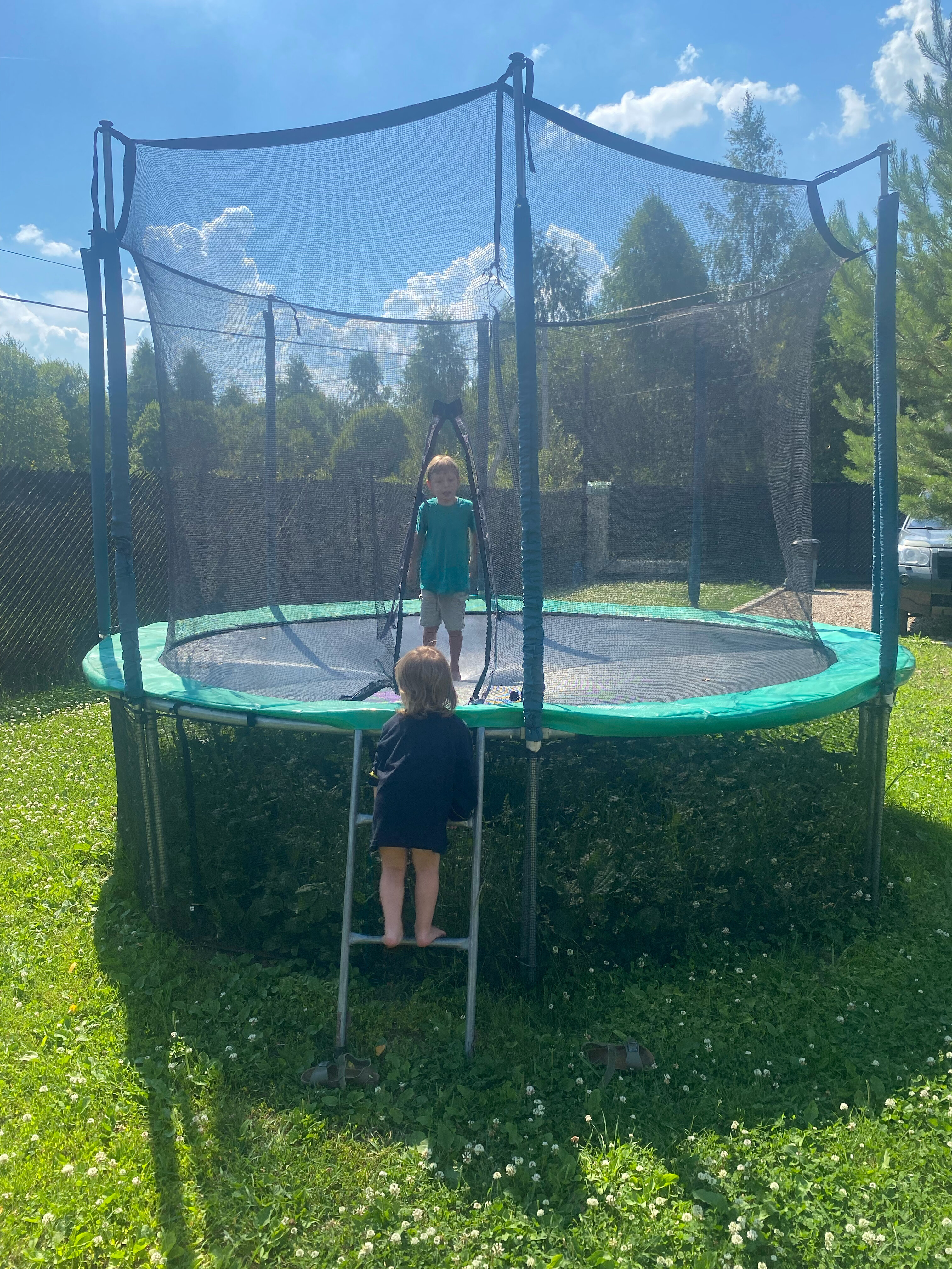 Фото Сканди куб