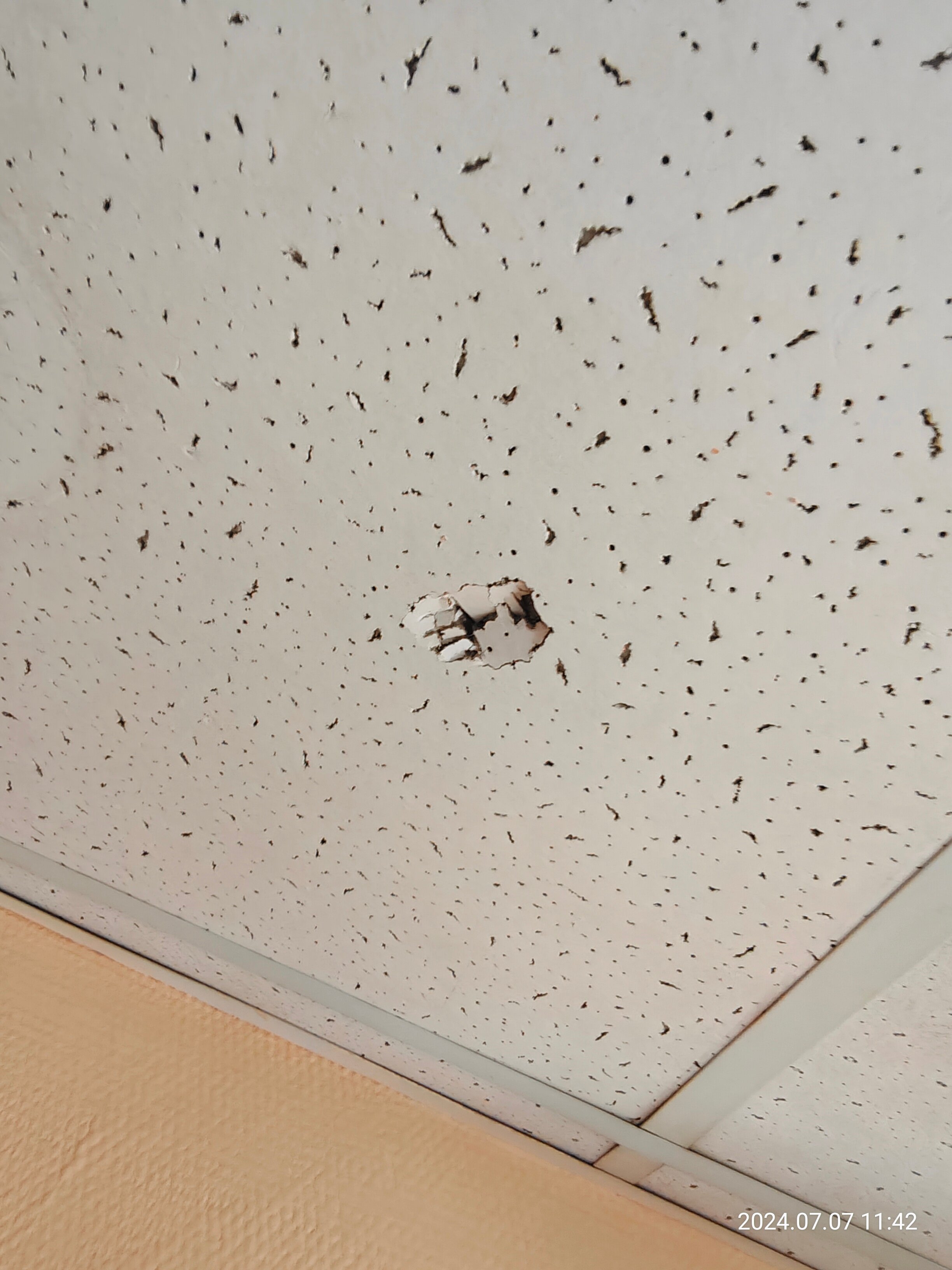 Фото Альянс Hotel Видное