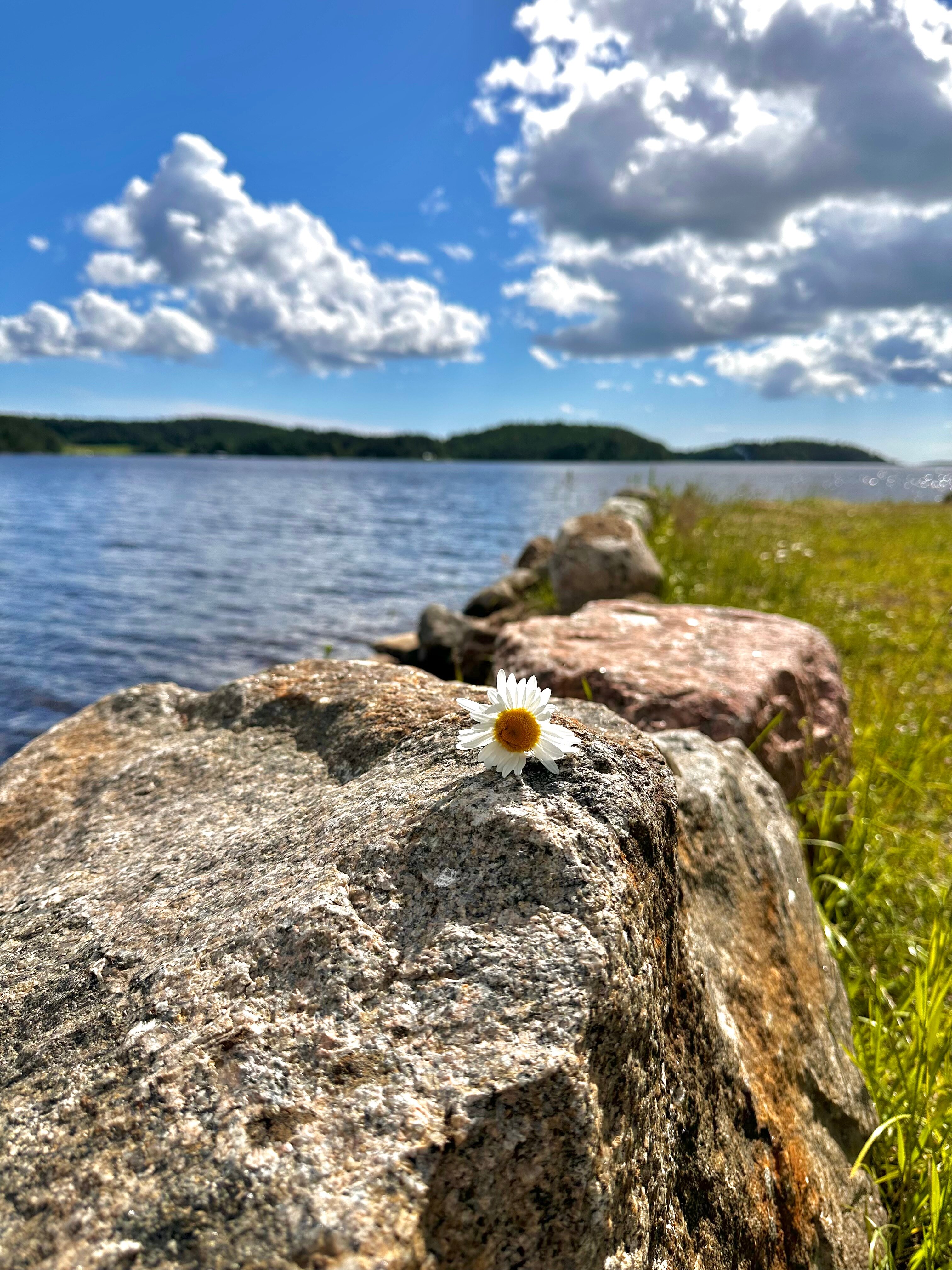 Фото Ладога Марина