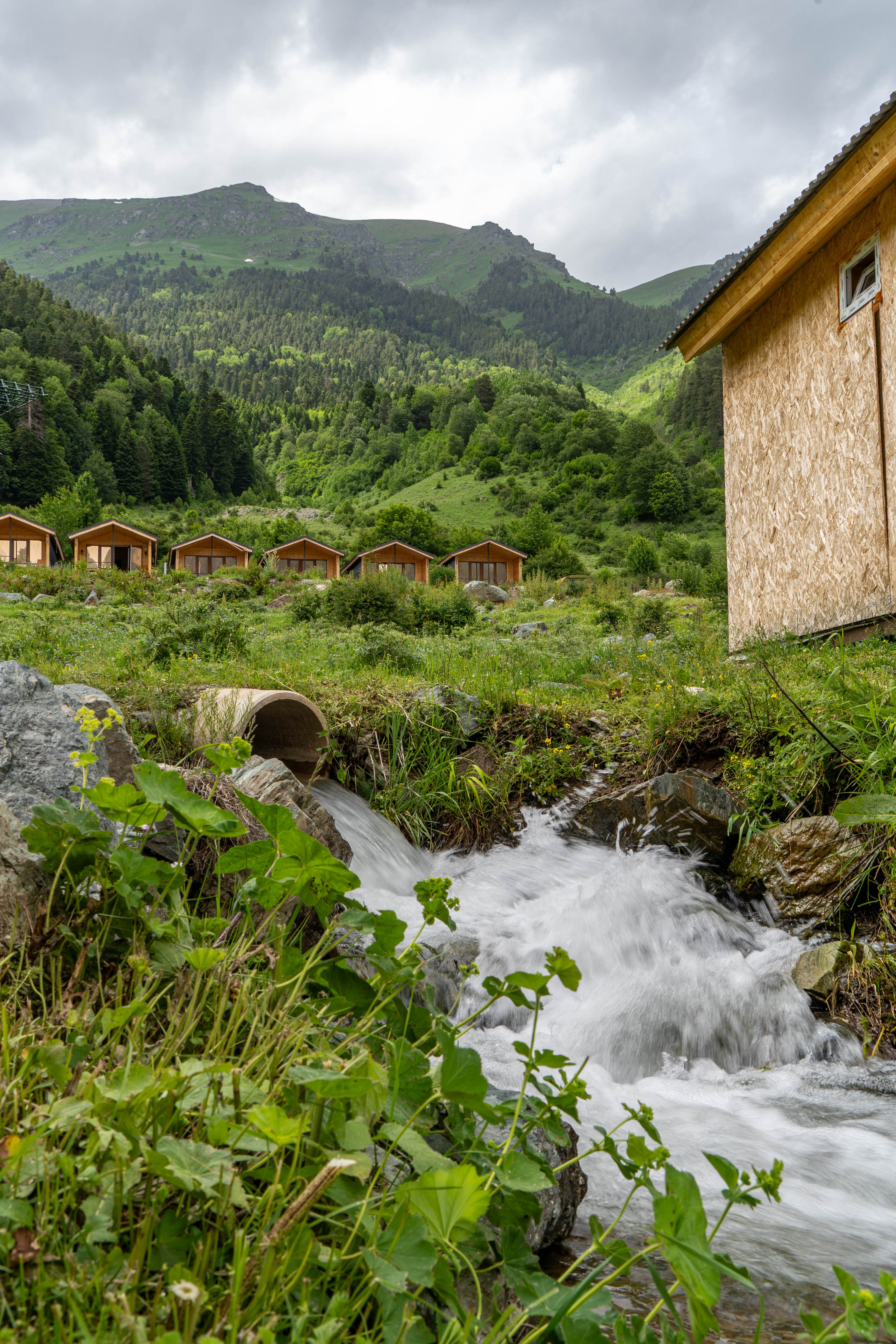 Фото Астока