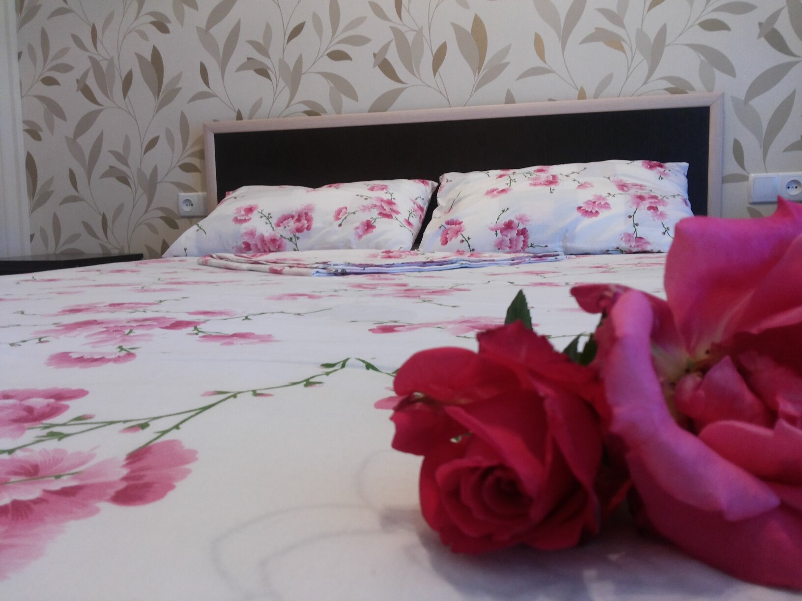 Фото Отель Жемчужина