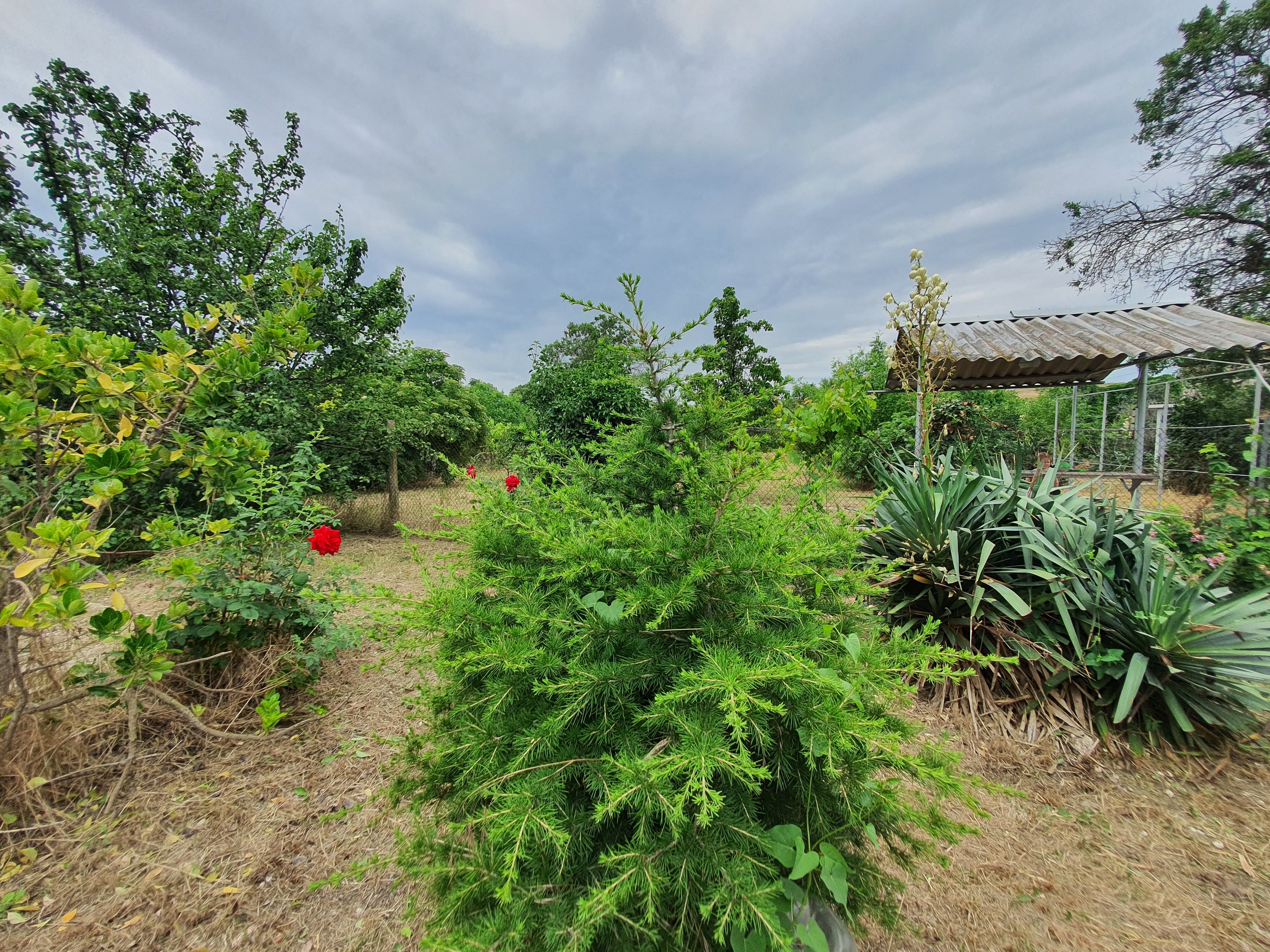 Фото Домик у моря