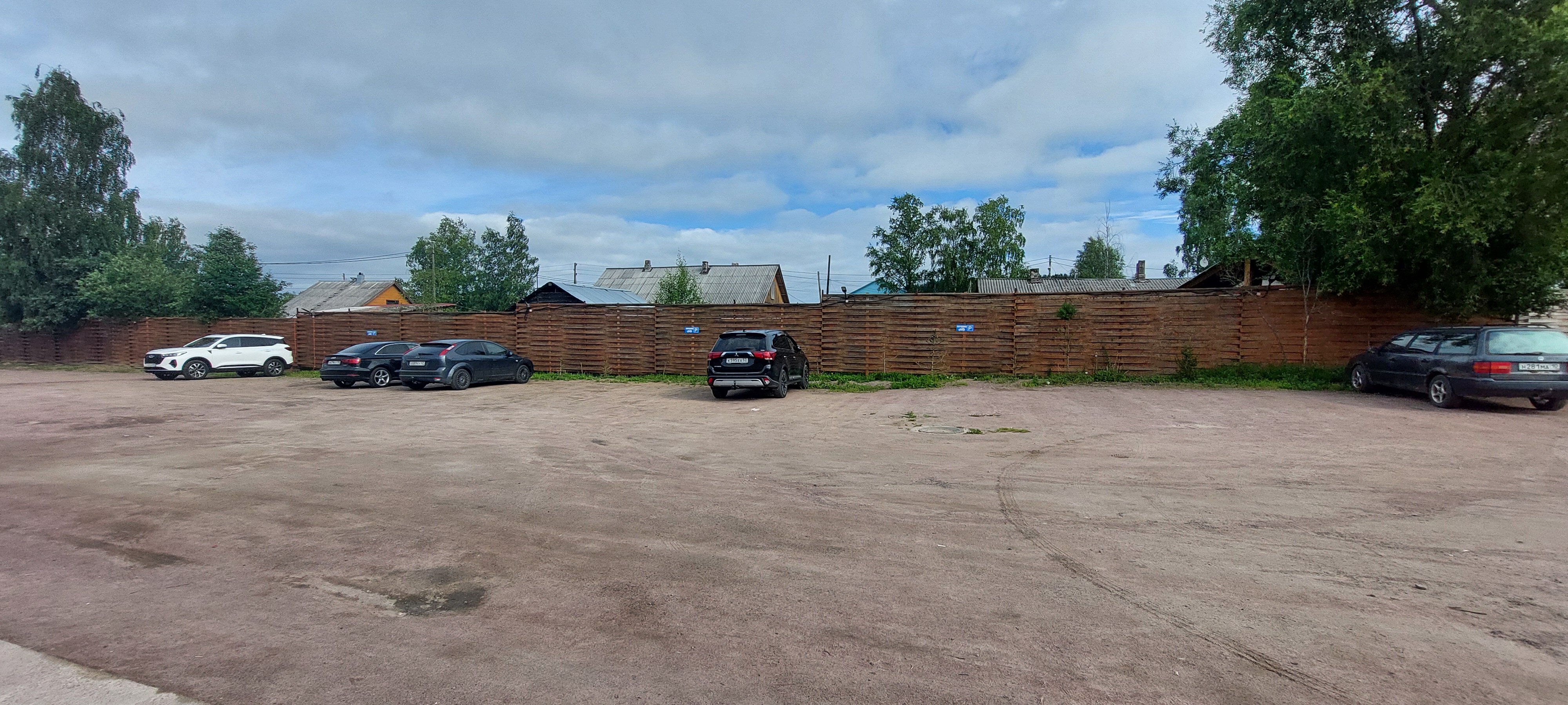 Фото Golden Rose