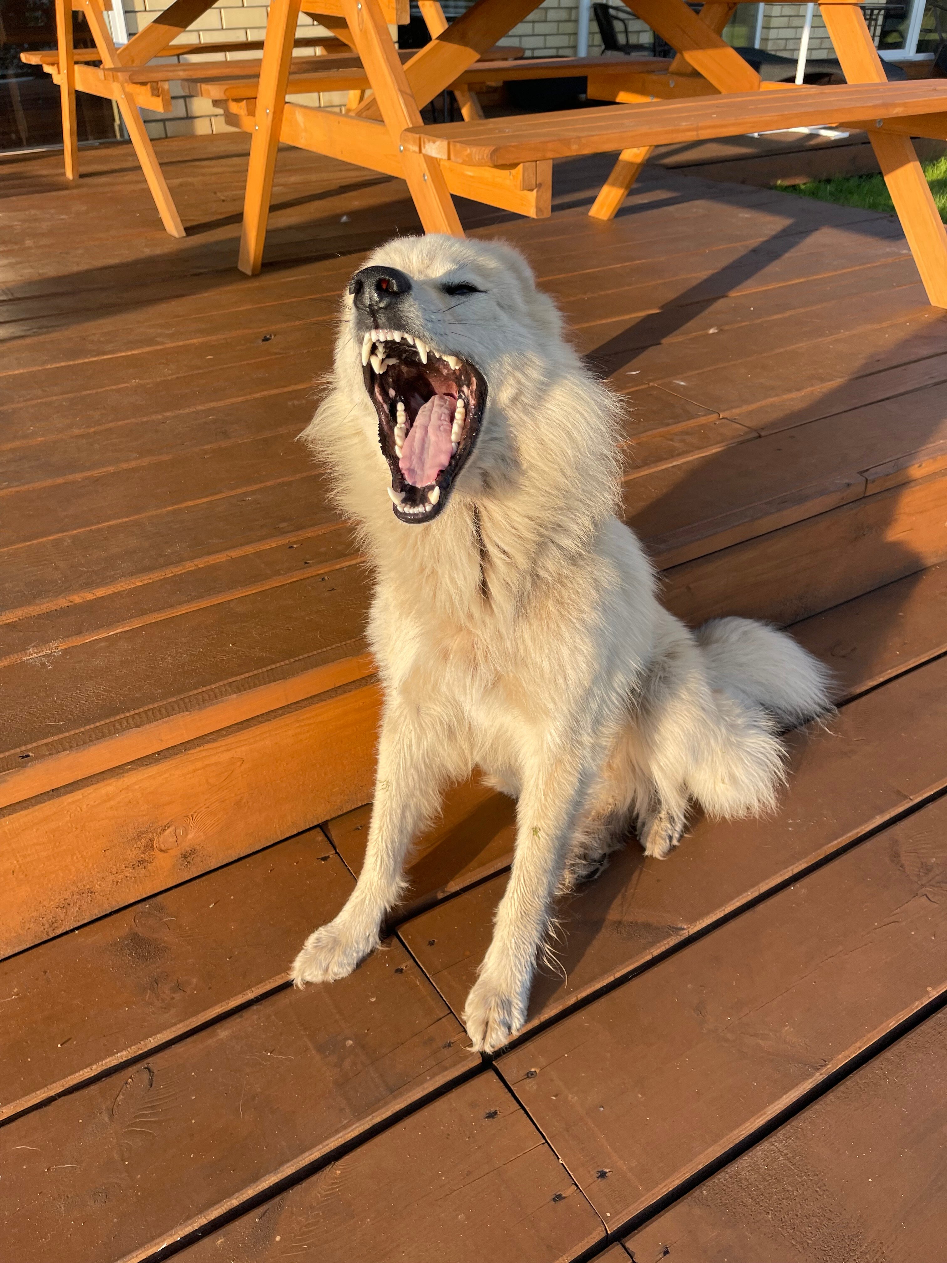 Фото Три Берега Болгар