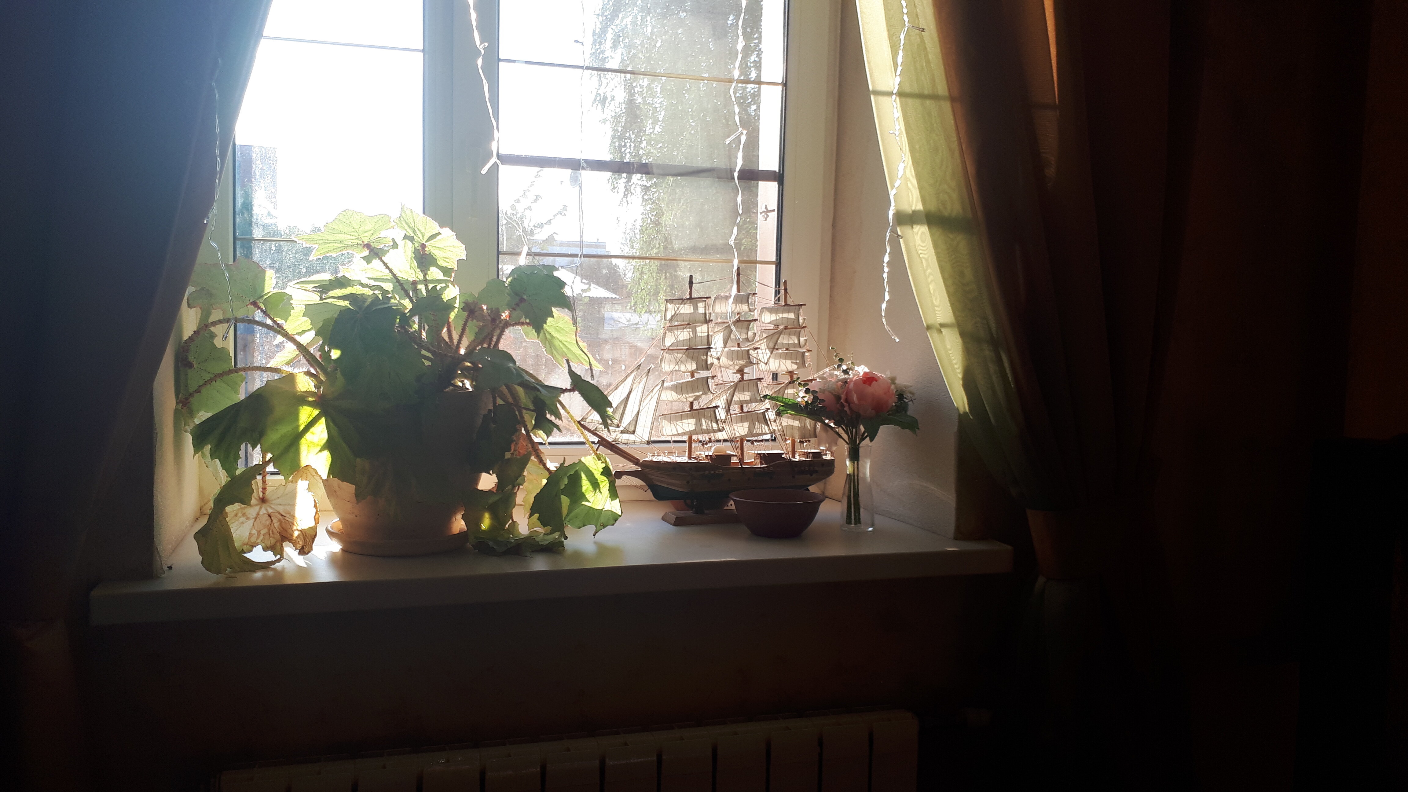 Фото Магеллан Хаус