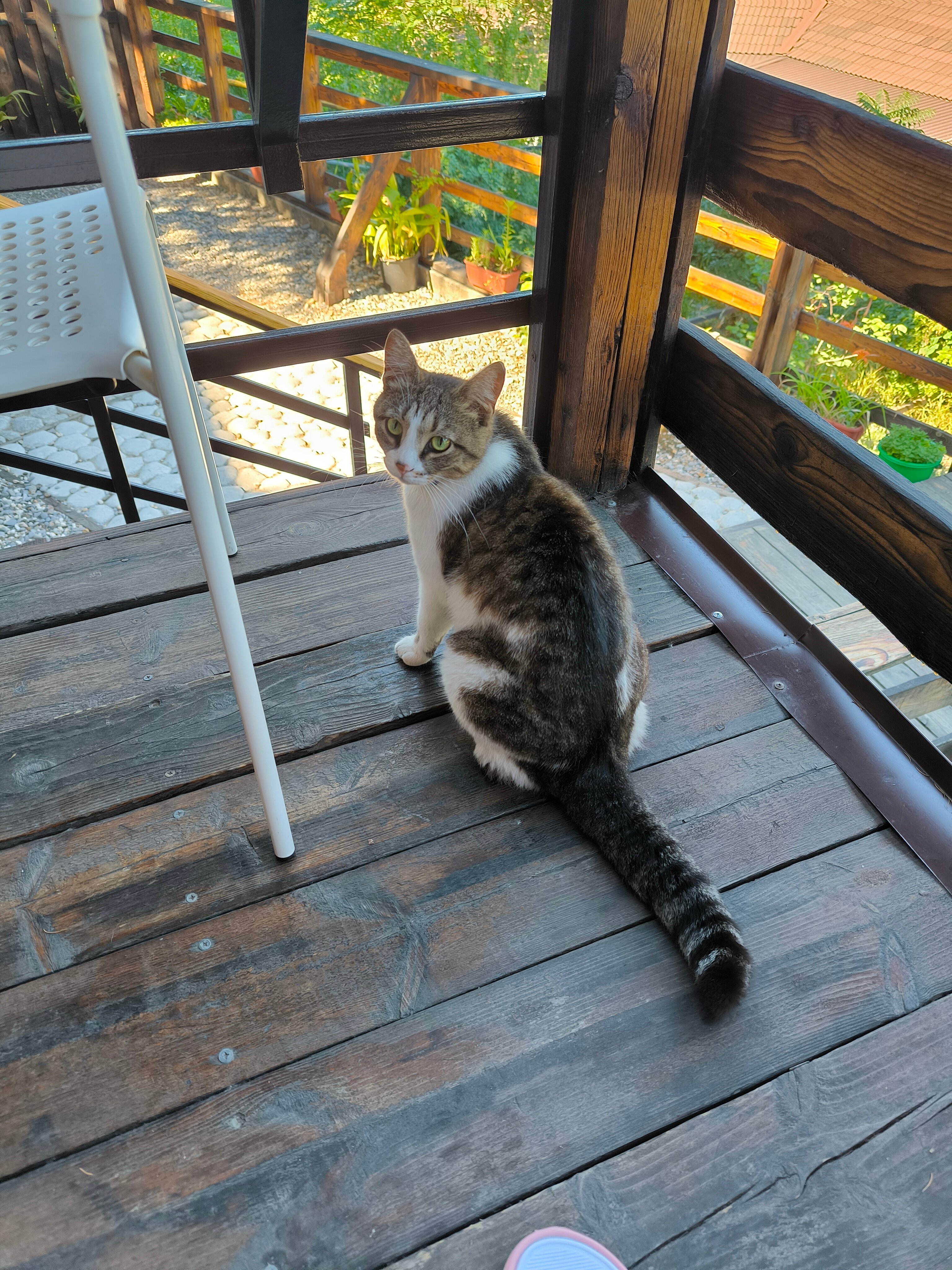 Фото Мистер Тукер