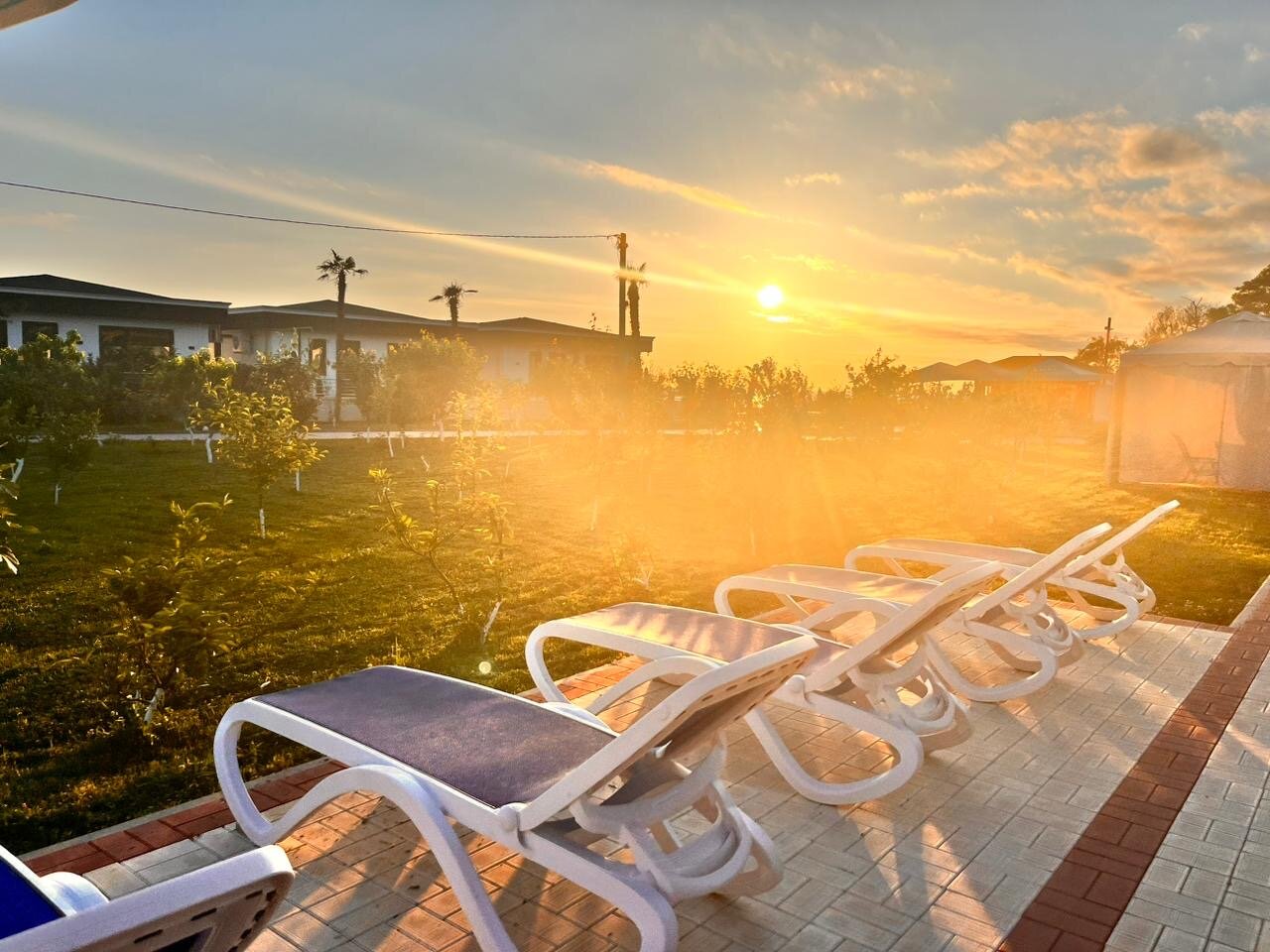 Фото Черный кот