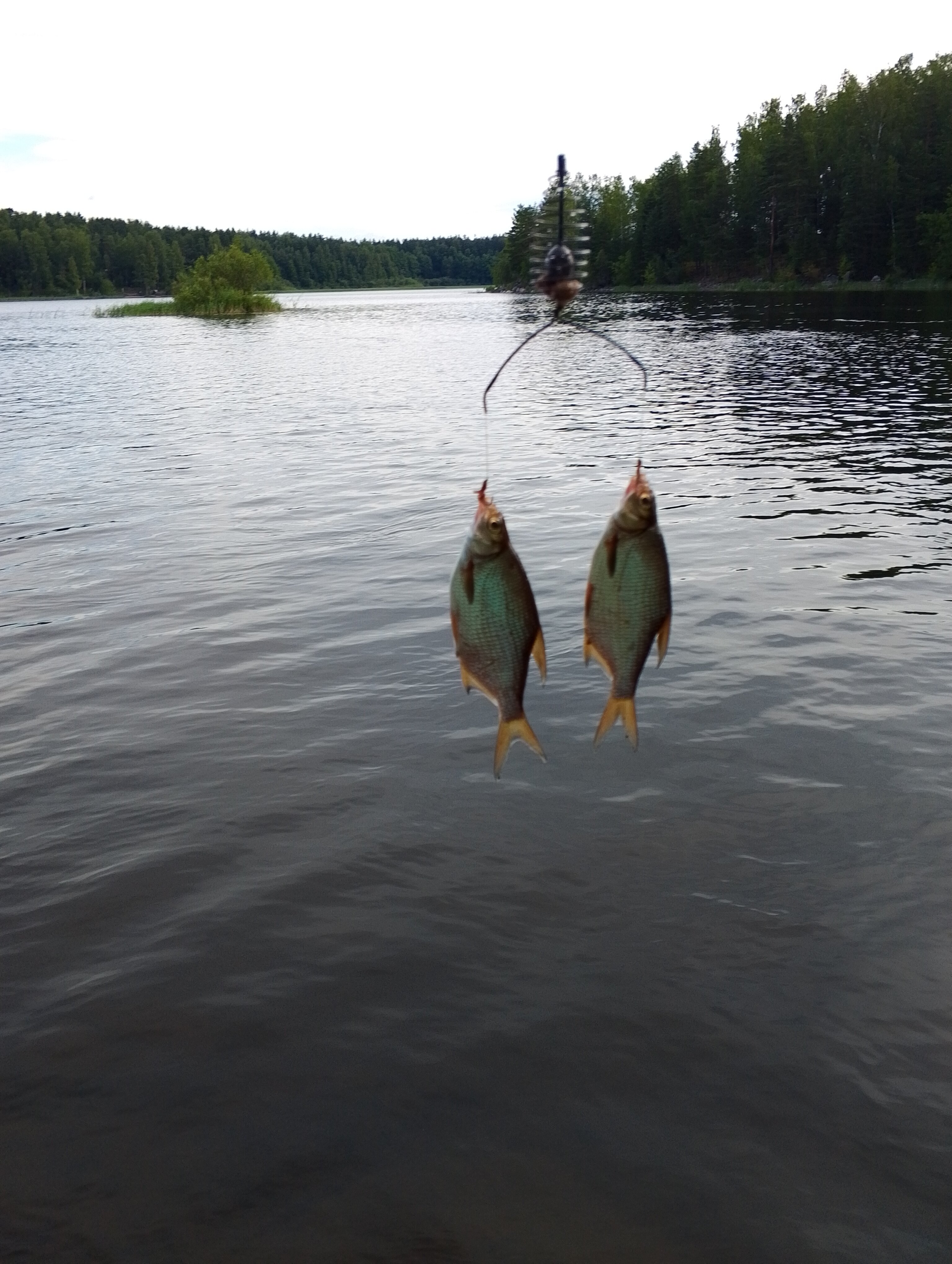 Фото Зеленый мыс