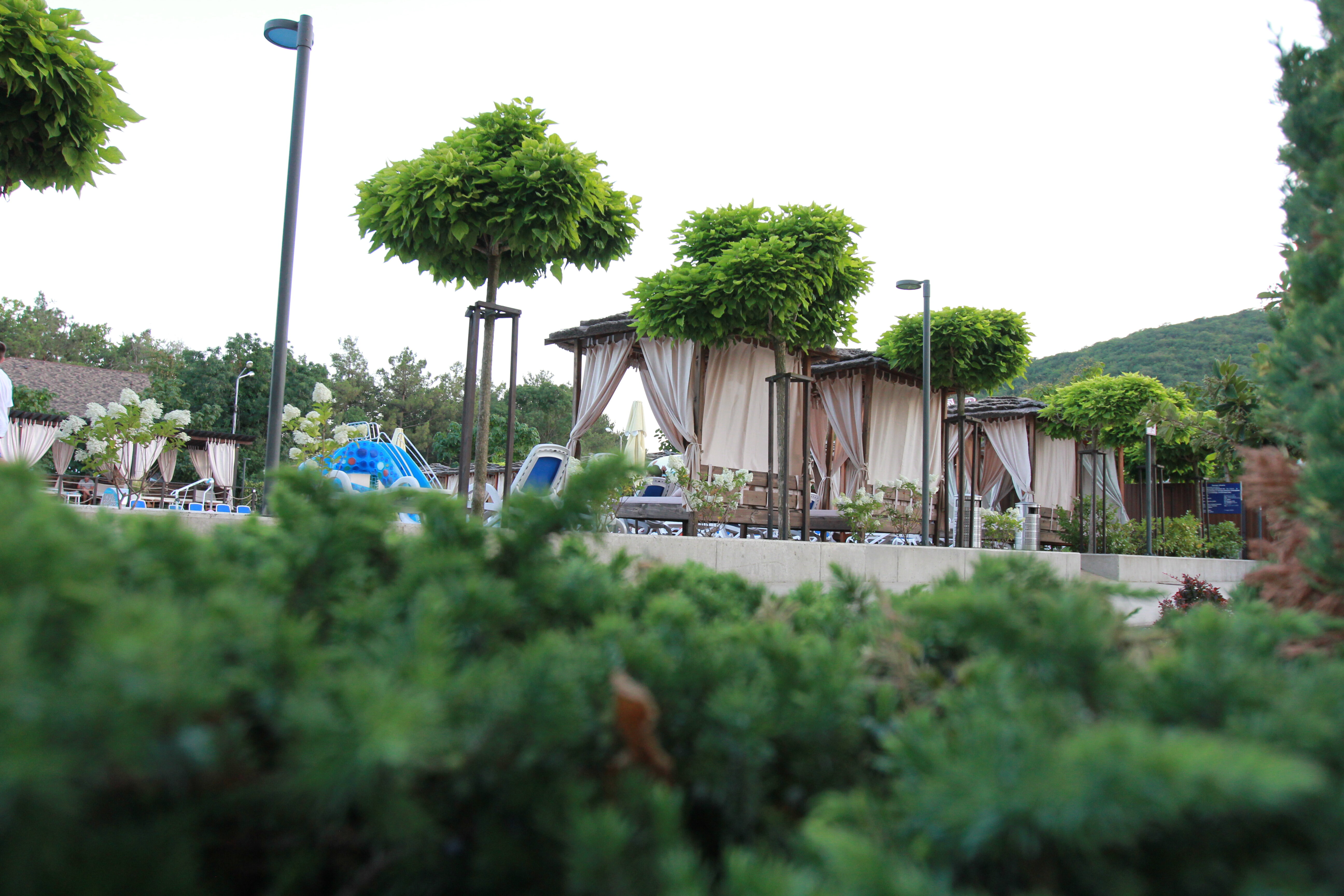 Фото Роза Ветров Новая