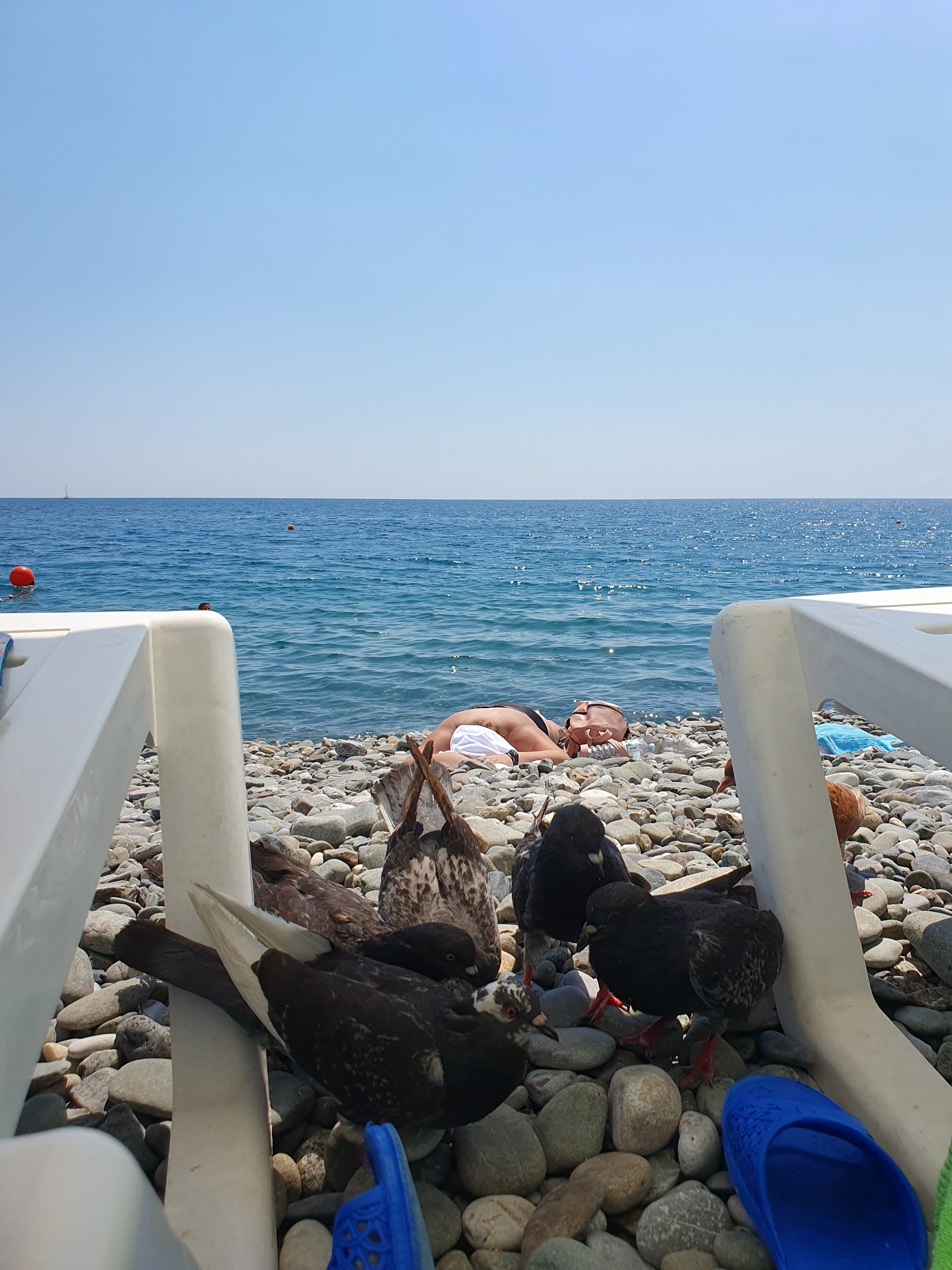 Фото Олимпия 2