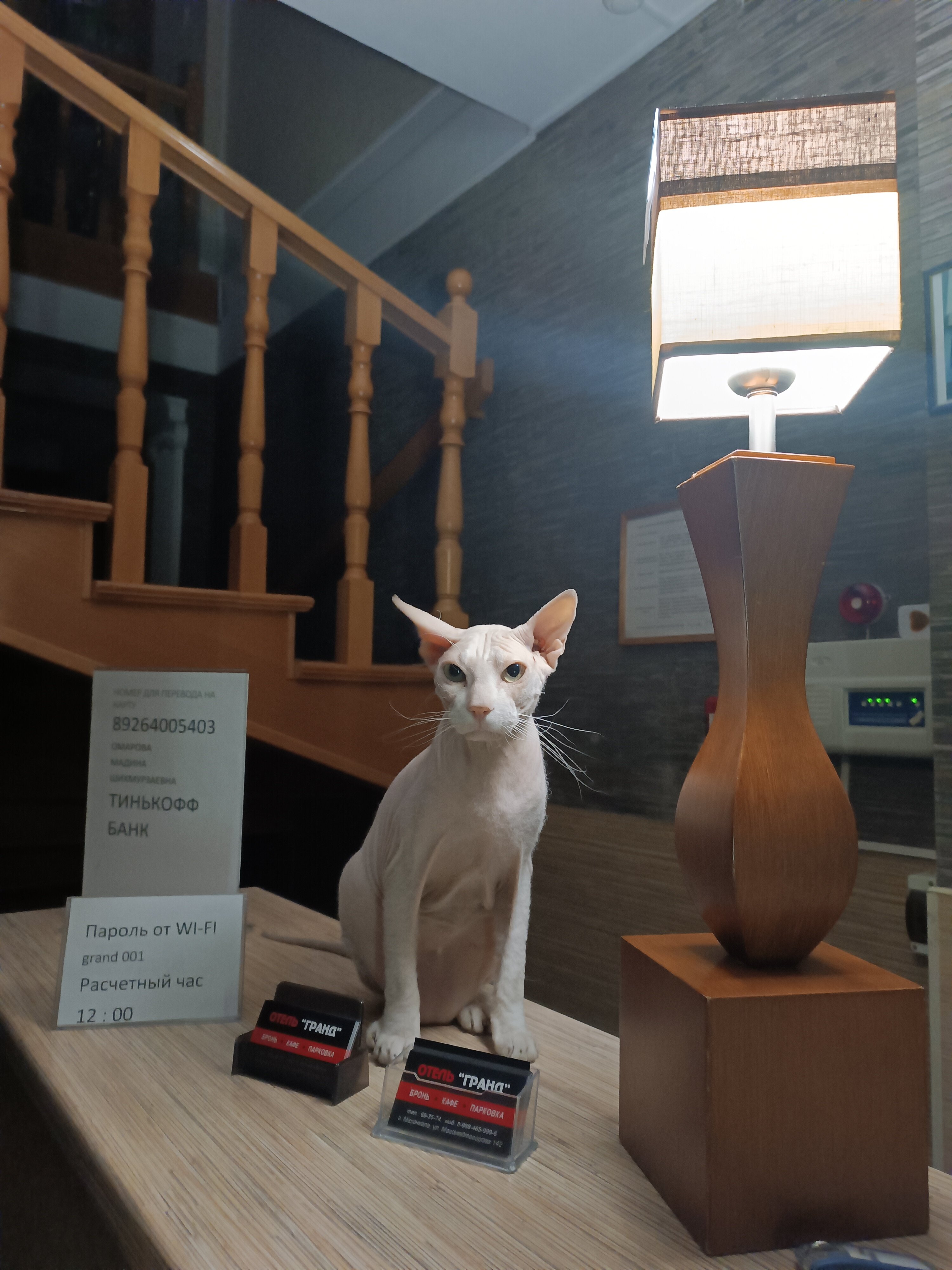 Фото отеля 3