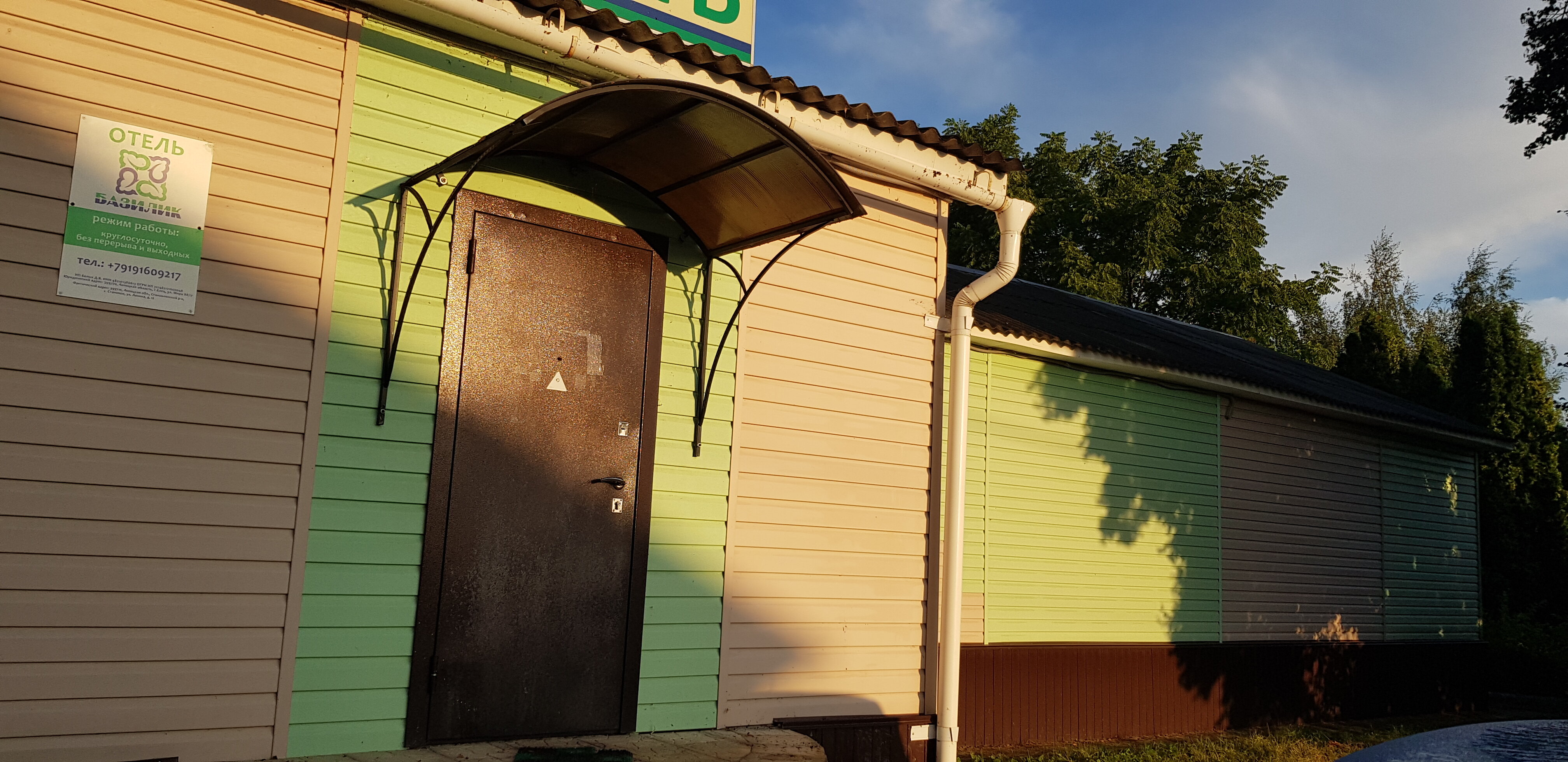 Фото Базилик